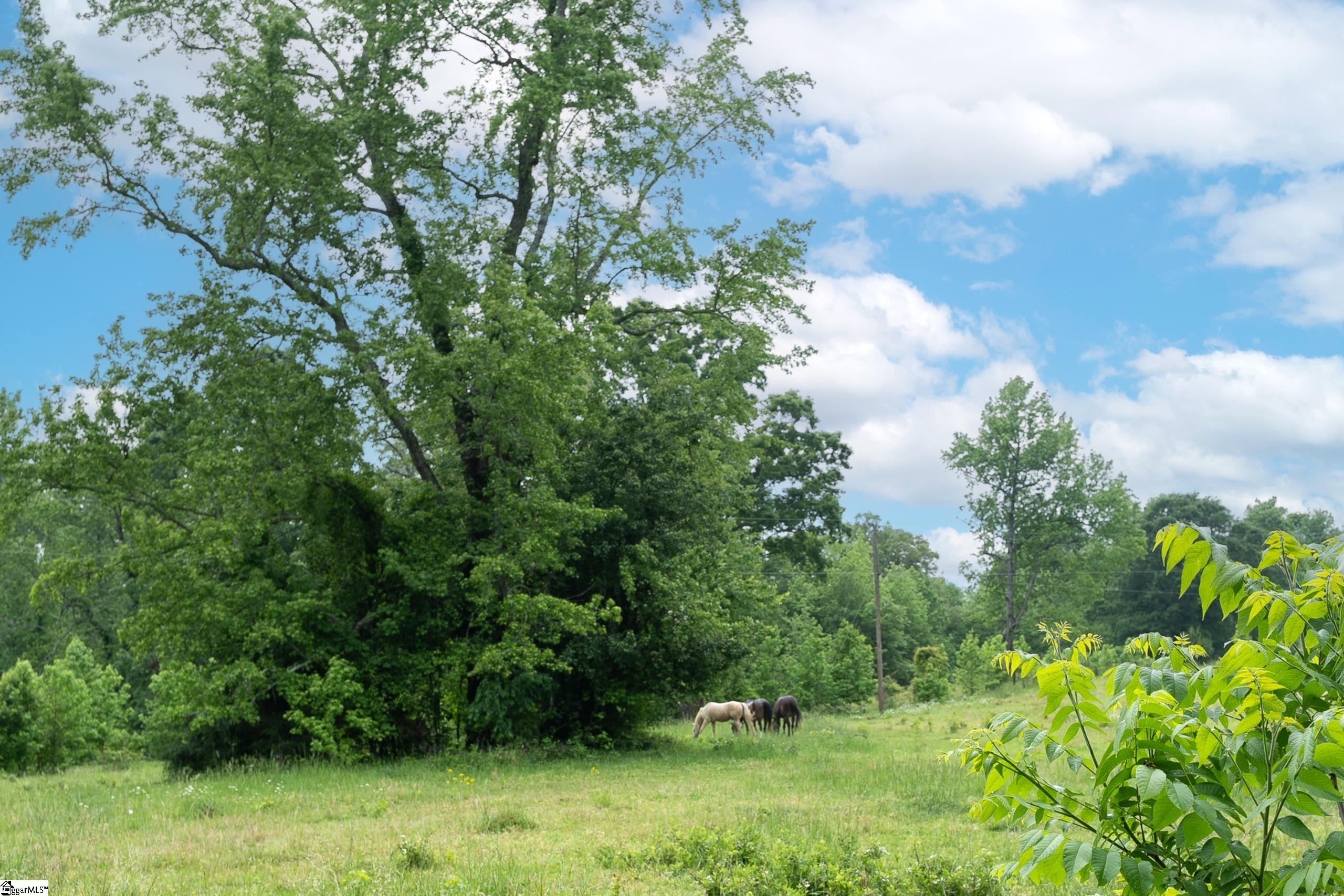 8 Wooded Glenn, Pelzer, South Carolina image 38