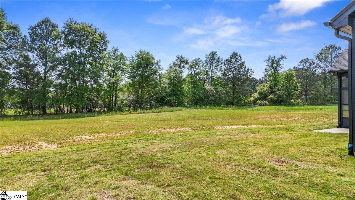 1155 Goodjoin, Campobello, South Carolina image 20