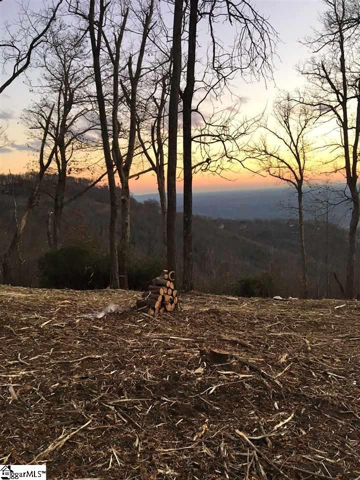 1399 Mountain Summit, Travelers Rest, South Carolina image 4