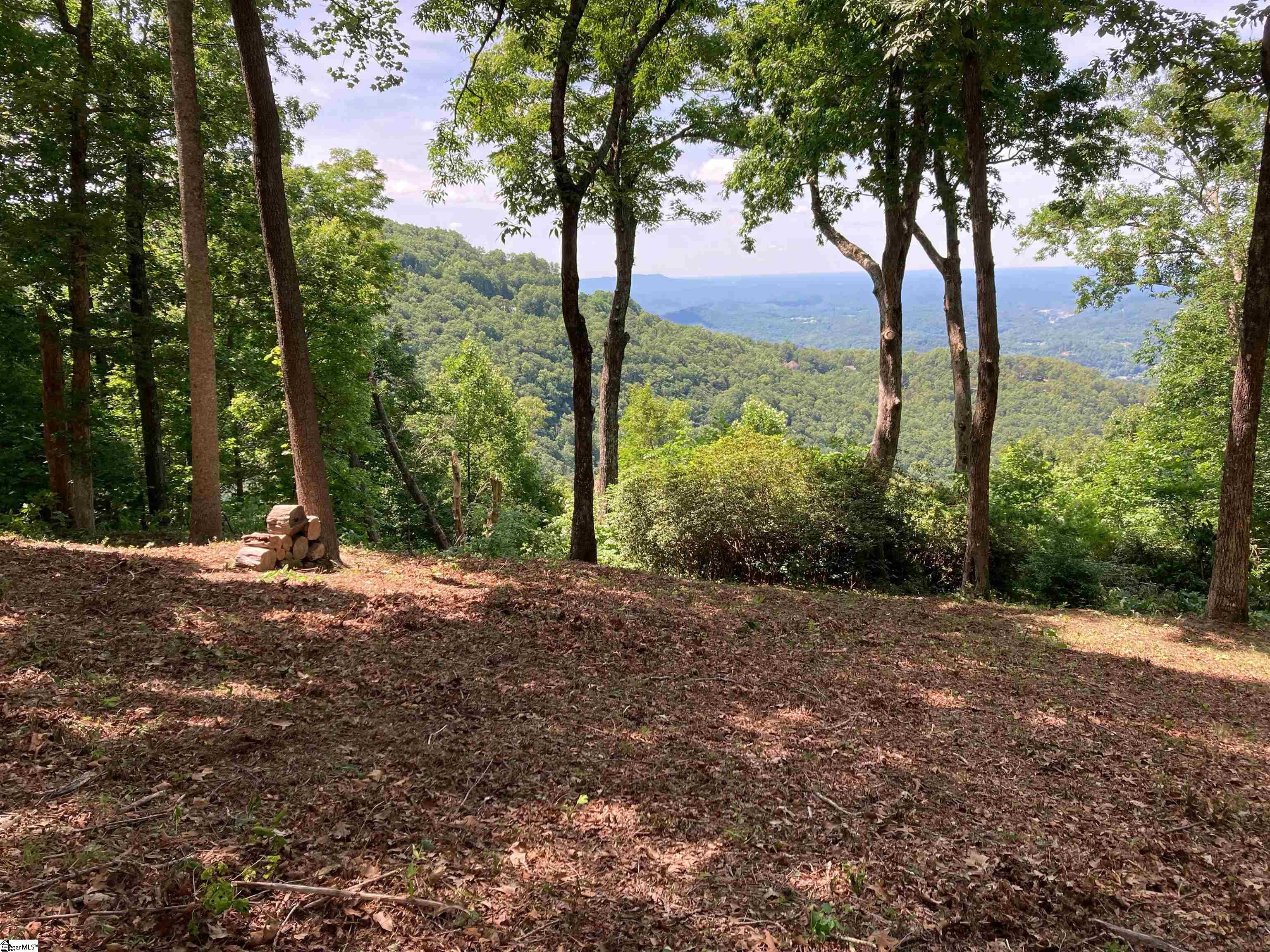 1399 Mountain Summit, Travelers Rest, South Carolina image 5