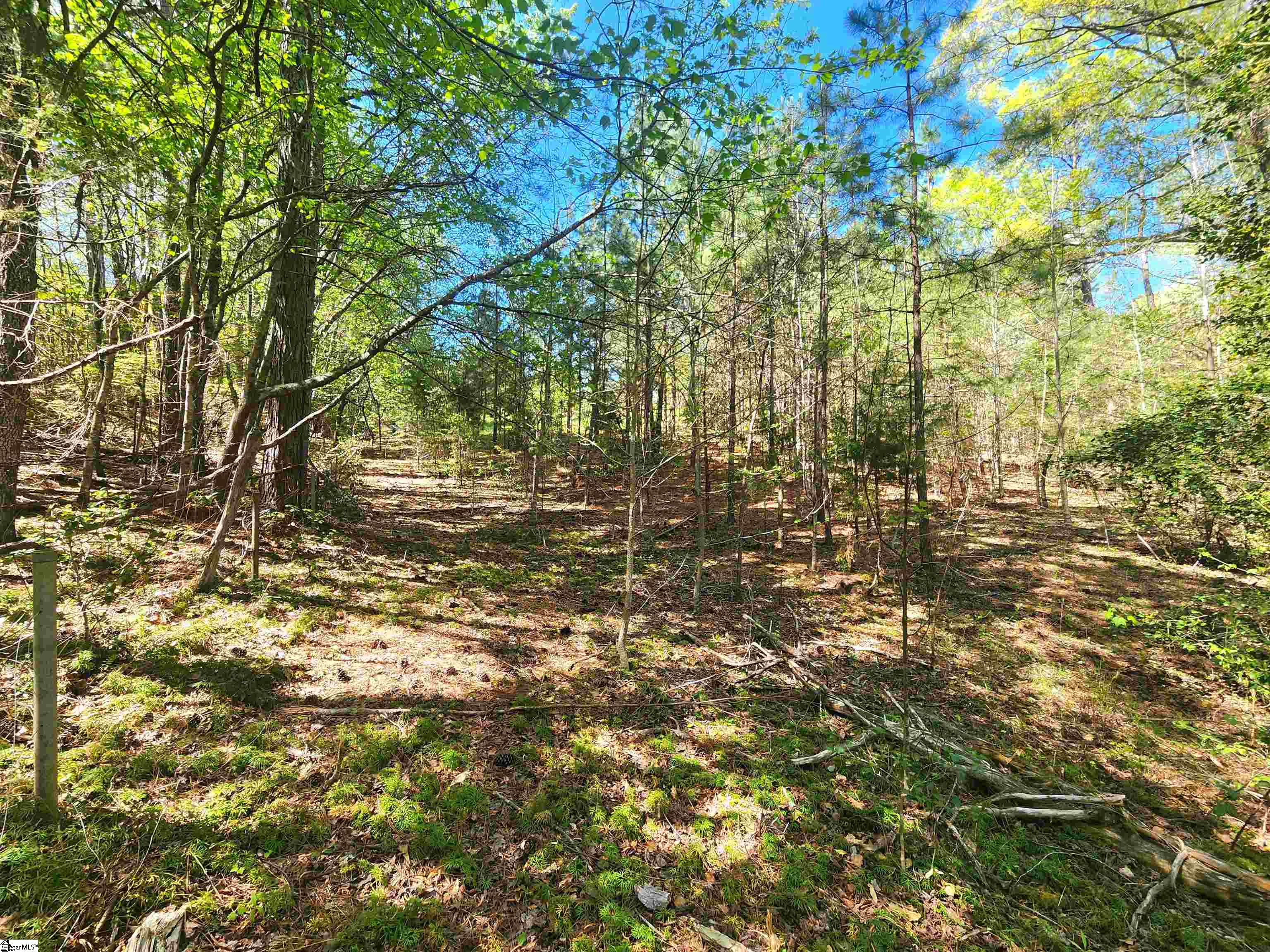 00 Allgood Bridge, Pickens, South Carolina image 13