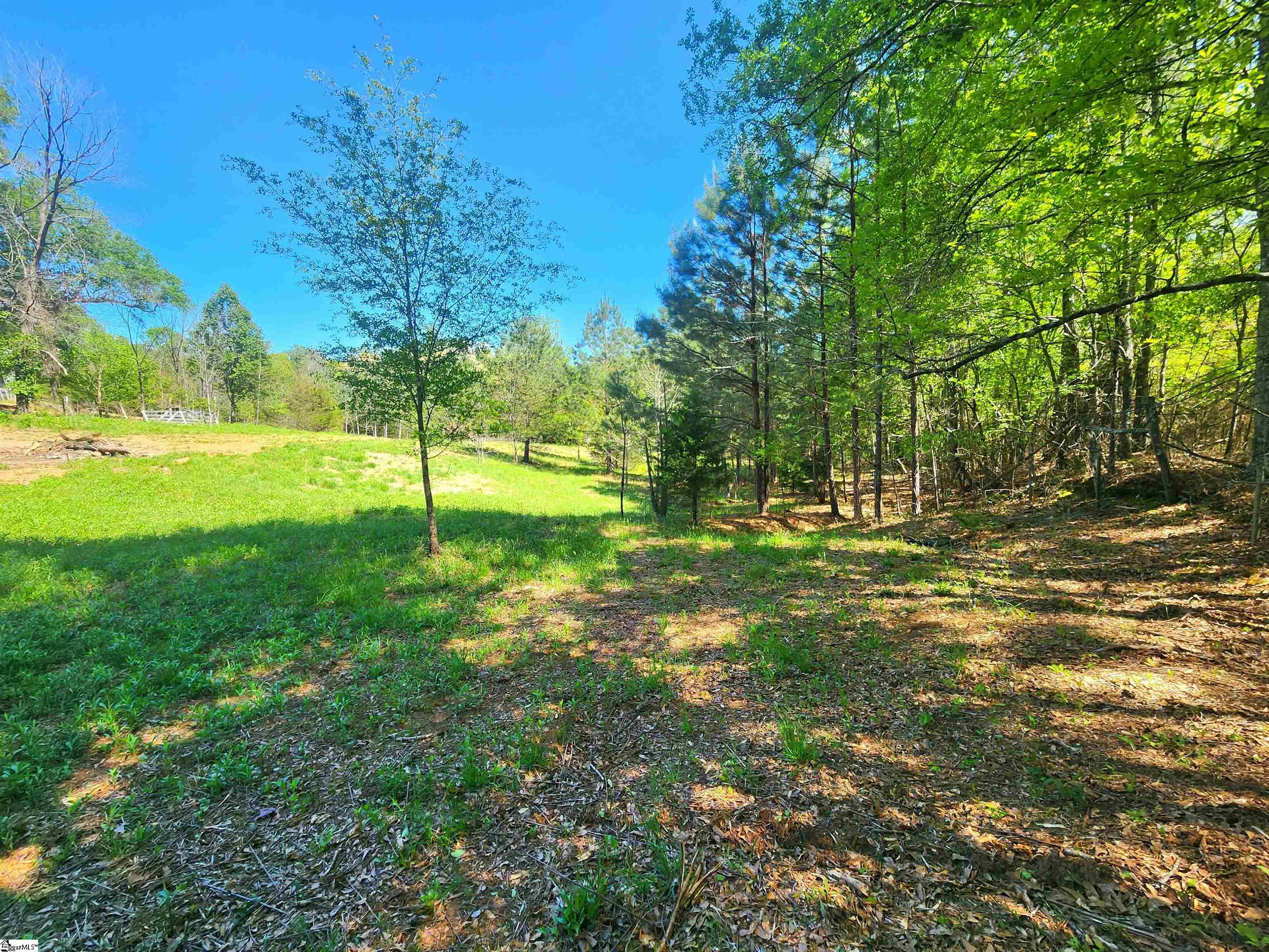 00 Allgood Bridge, Pickens, South Carolina image 5
