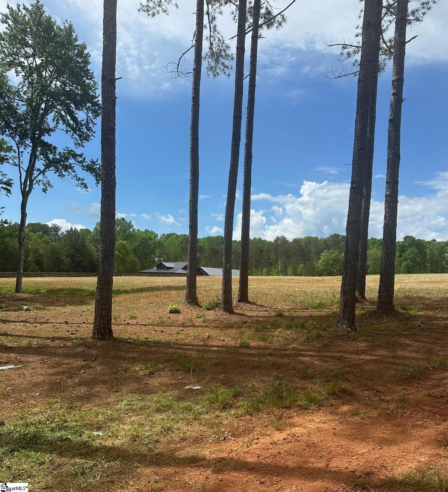 417 Wilkie Bridge, Inman, South Carolina image 1