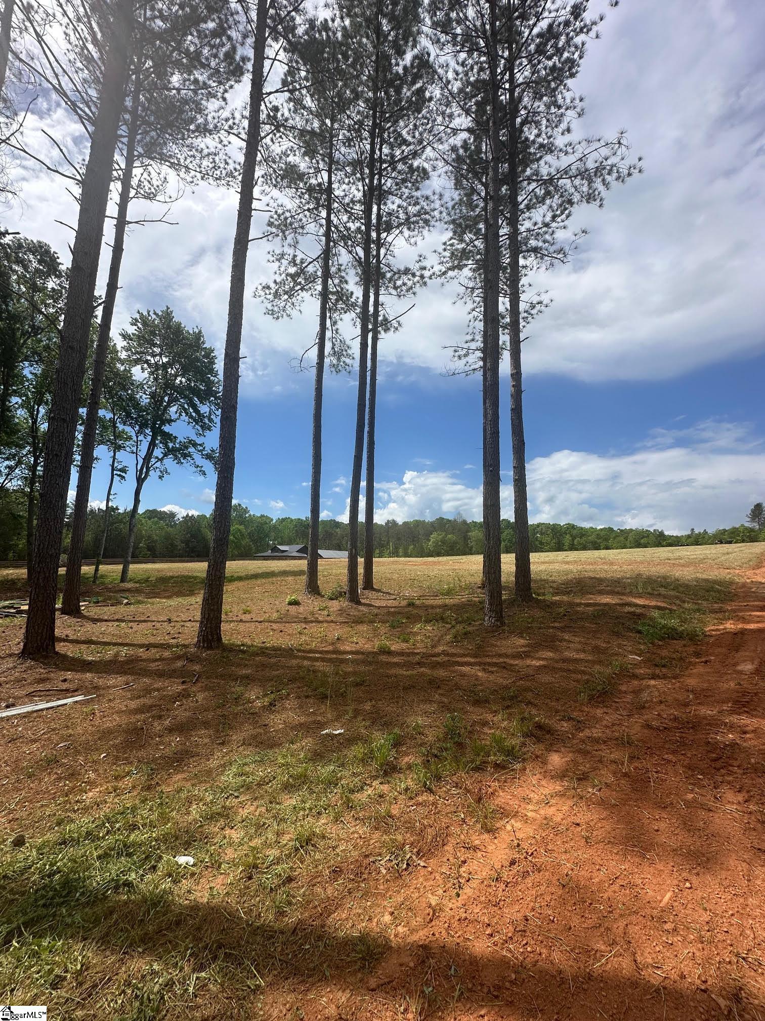 417 Wilkie Bridge, Inman, South Carolina image 2