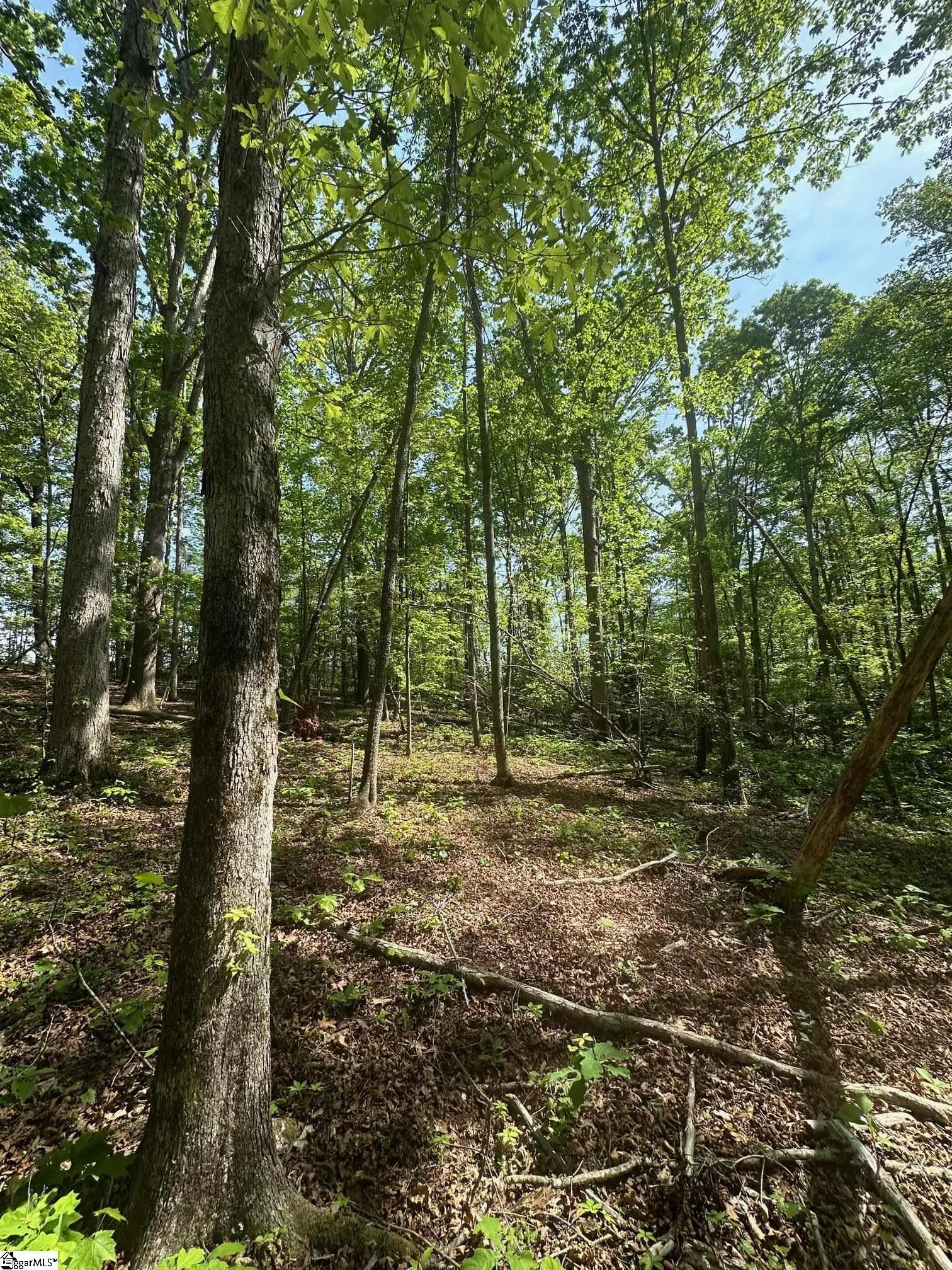 417 Wilkie Bridge, Inman, South Carolina image 14