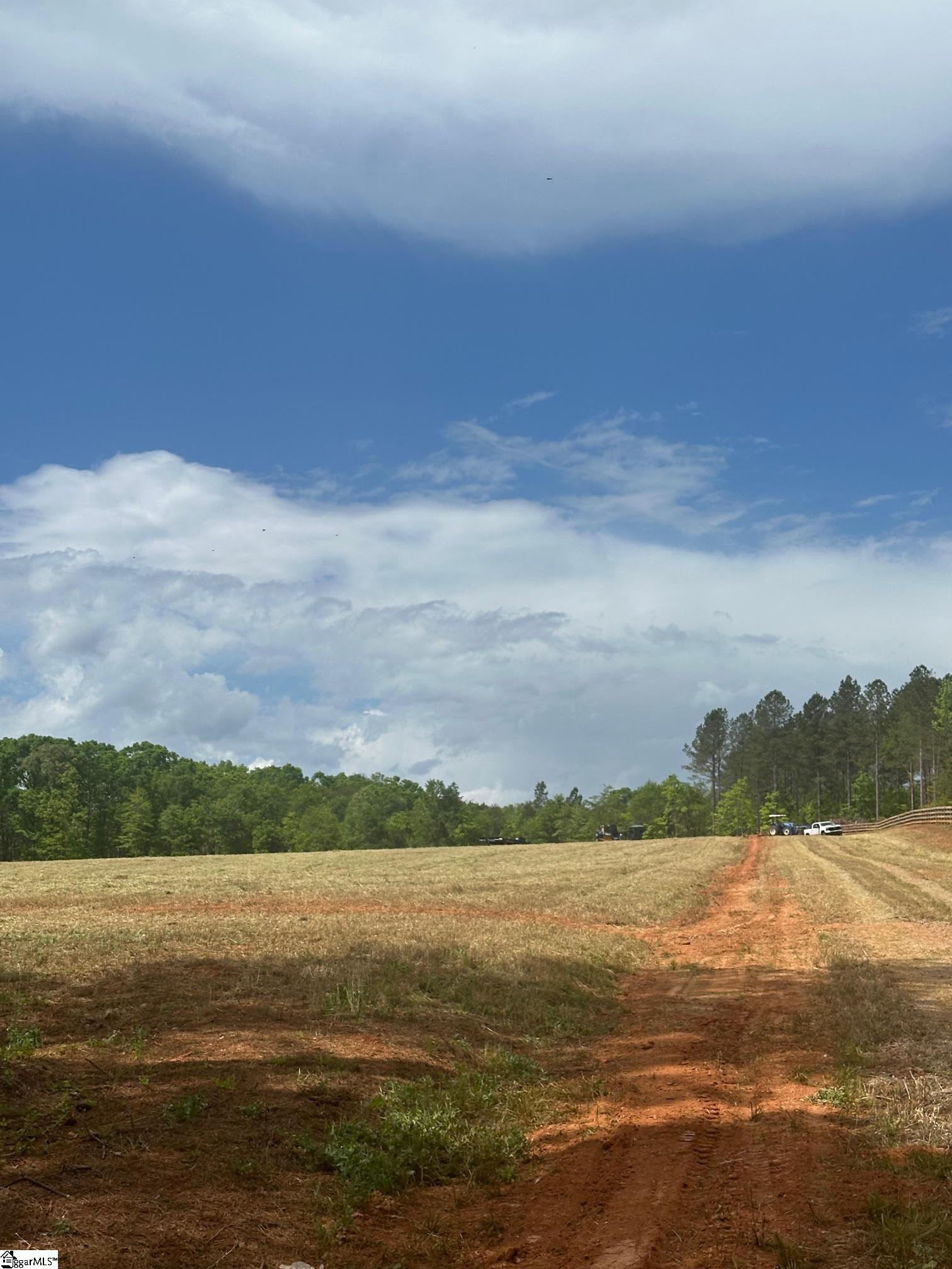 417 Wilkie Bridge, Inman, South Carolina image 19