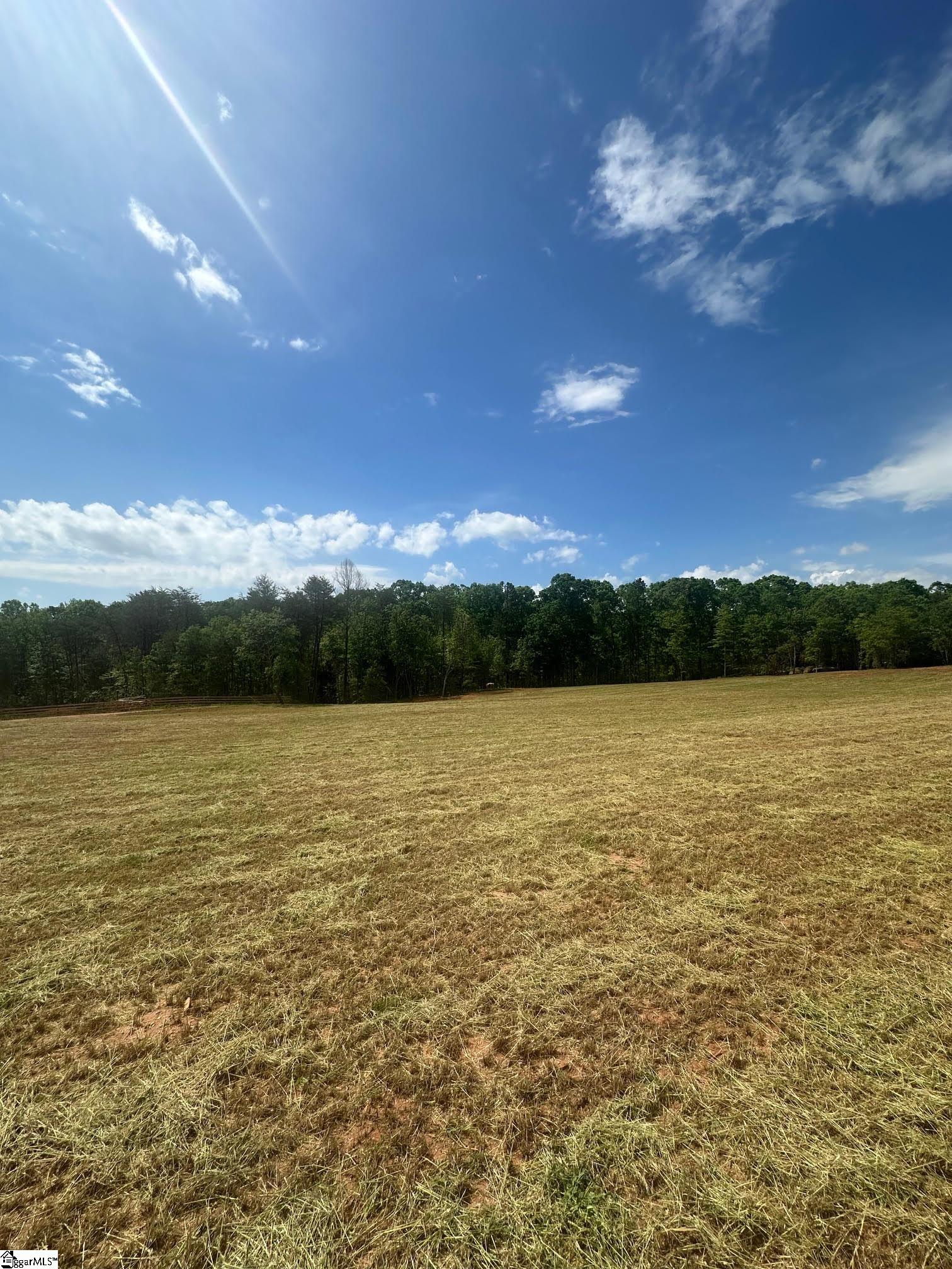 417 Wilkie Bridge, Inman, South Carolina image 4
