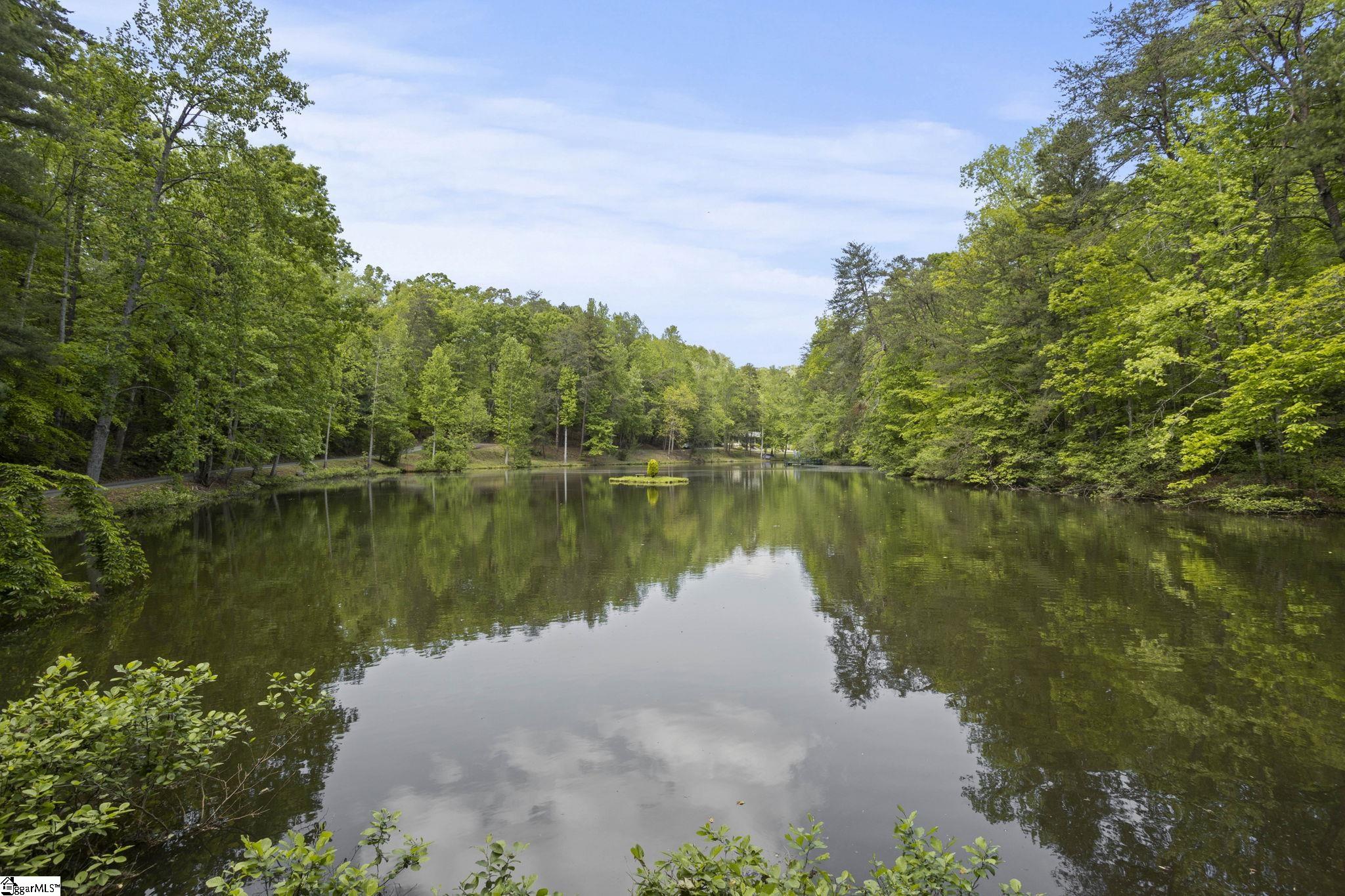 451 Pacolet Pond, Tryon, North Carolina image 44