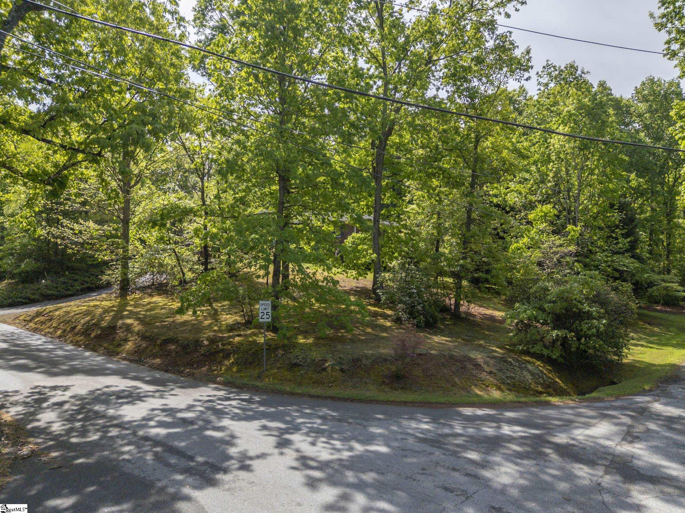 167 Lanier, Landrum, South Carolina image 42