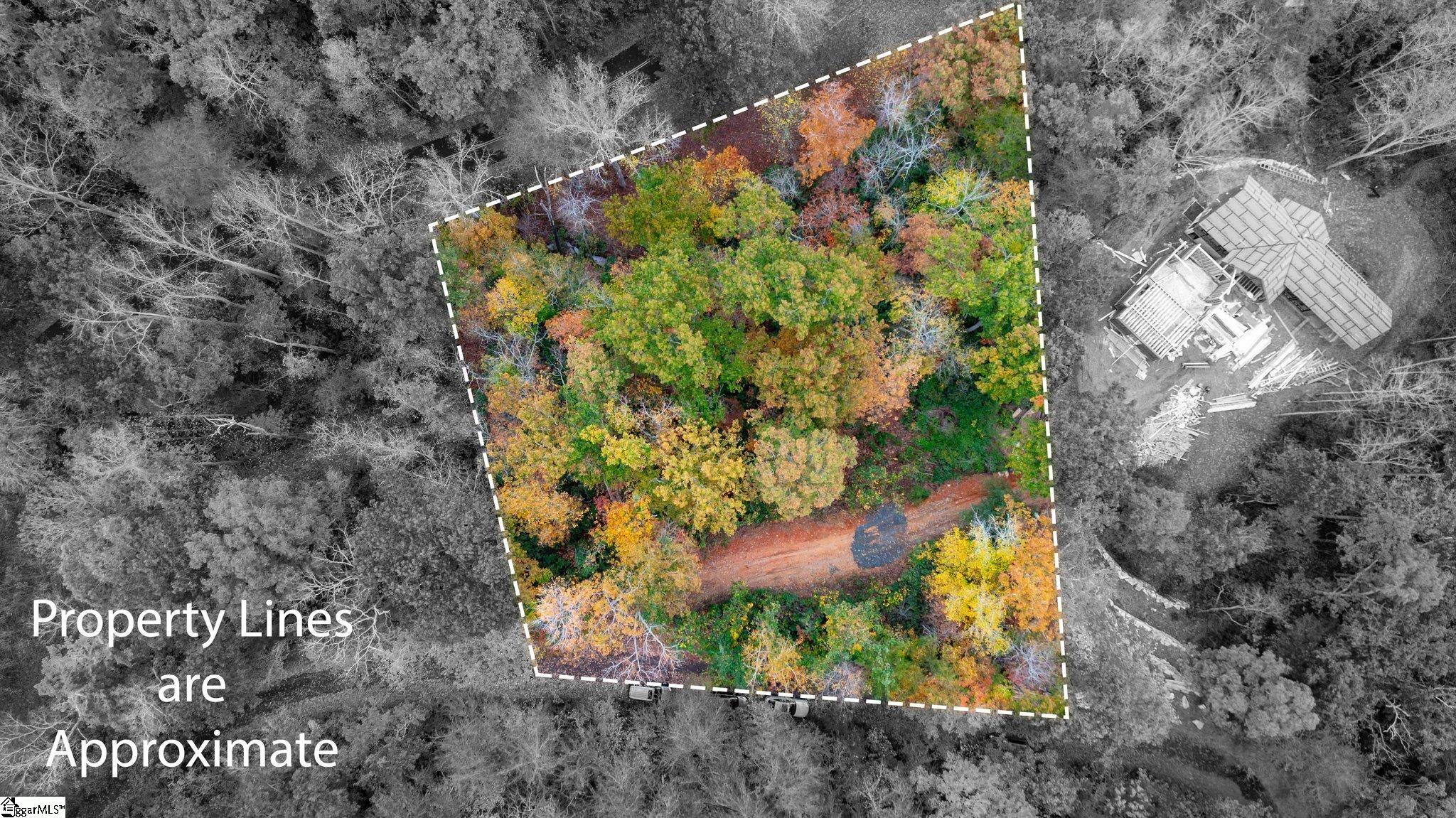 524 Caledonia, Landrum, South Carolina image 2