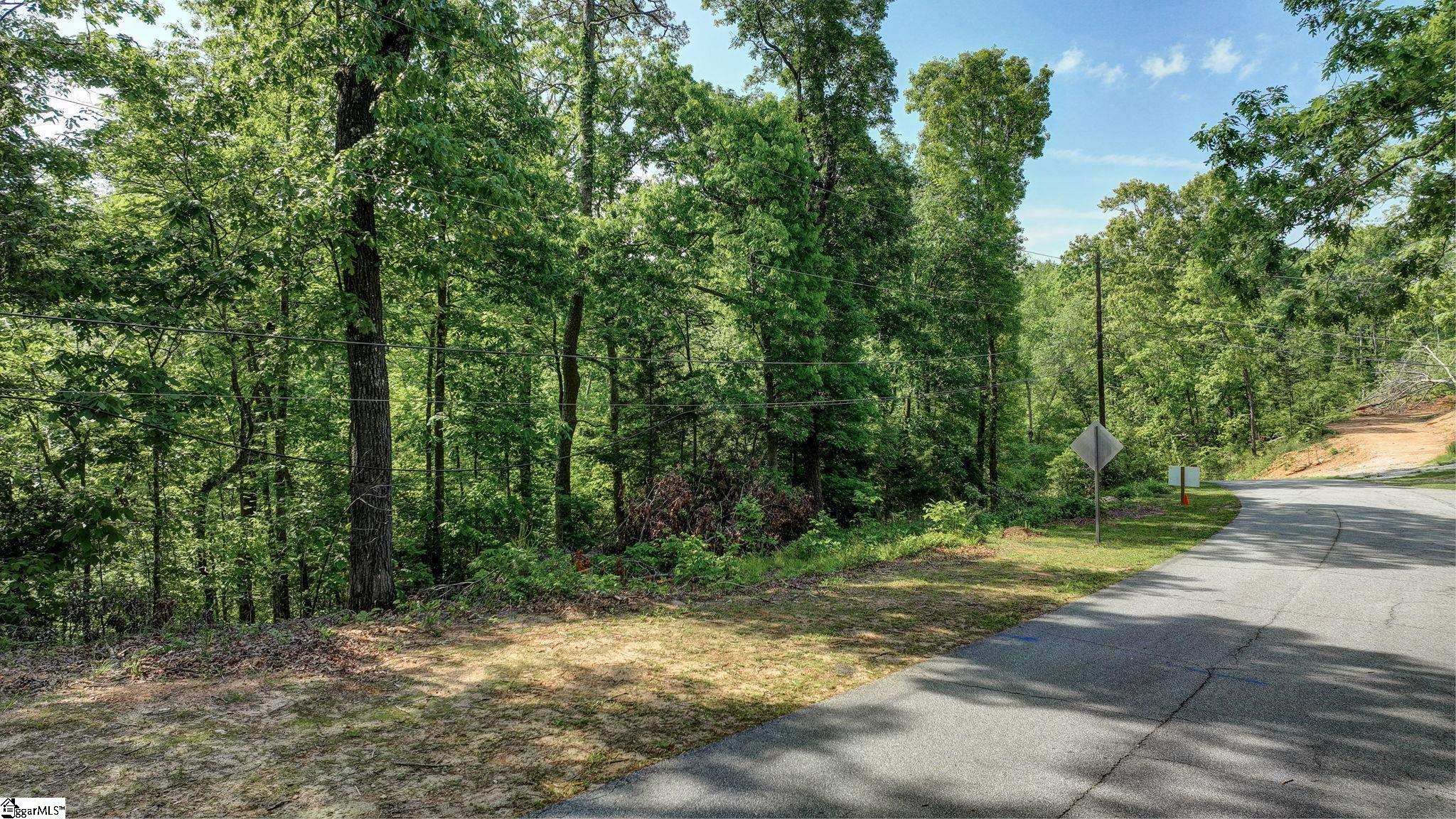 00 Ridge Point, Easley, South Carolina image 2