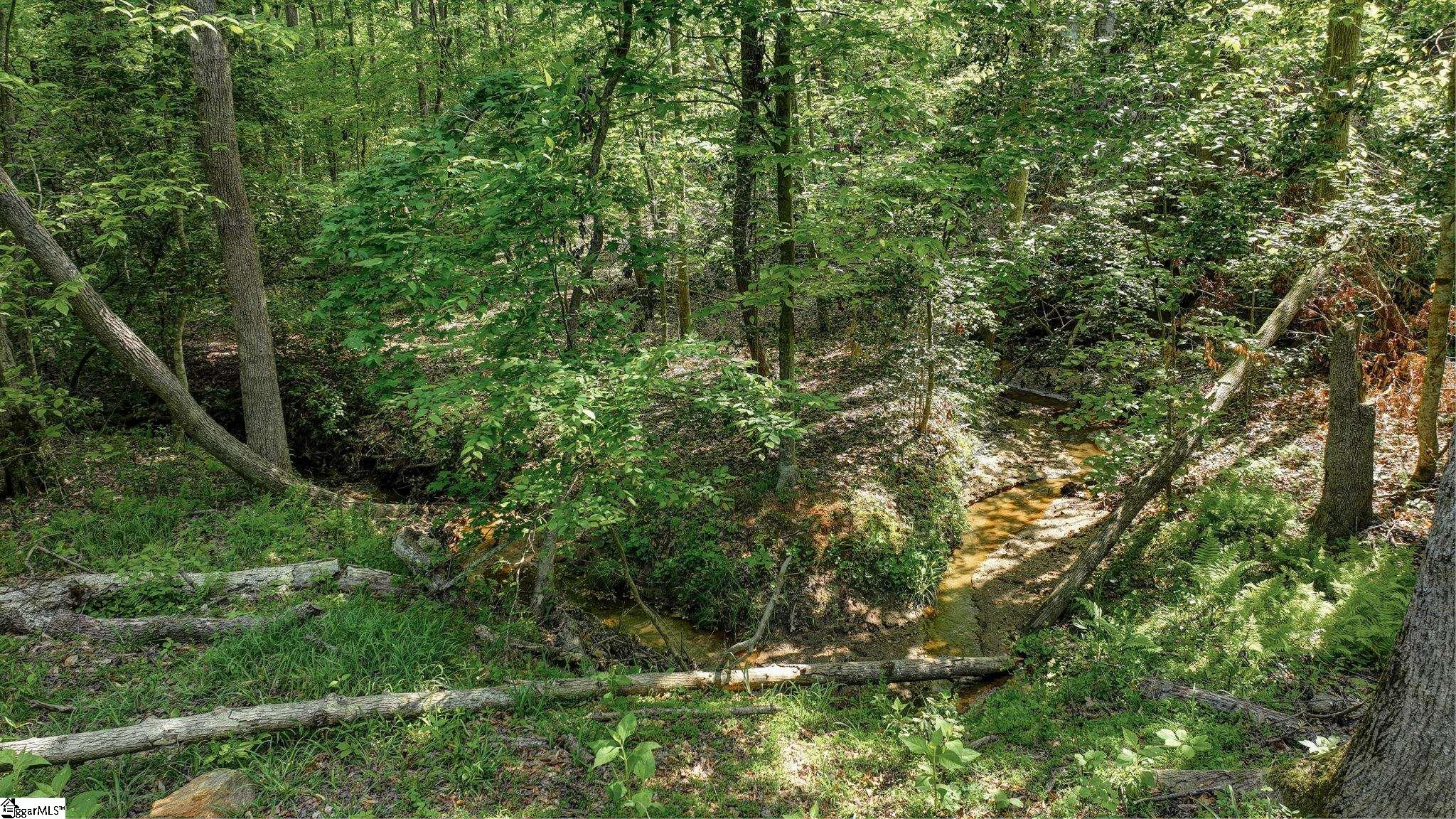 00 Ridge Point, Easley, South Carolina image 11