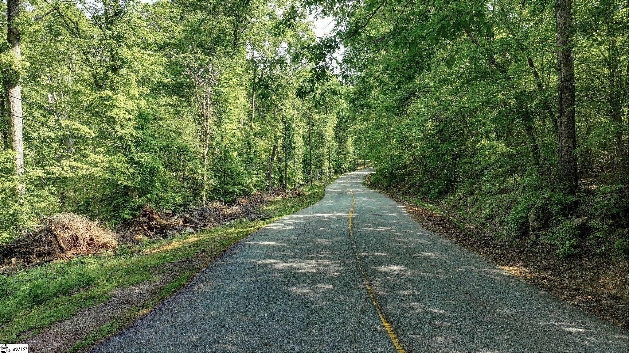 00 Ridge Point, Easley, South Carolina image 13