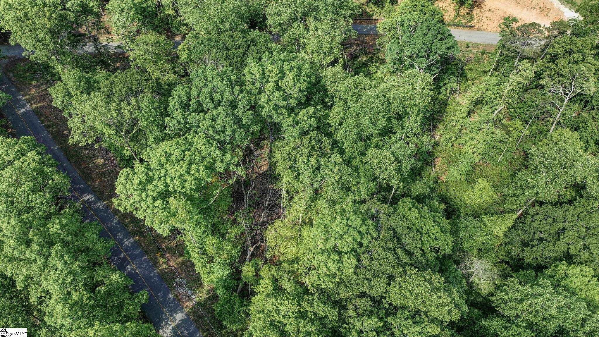 00 Ridge Point, Easley, South Carolina image 14