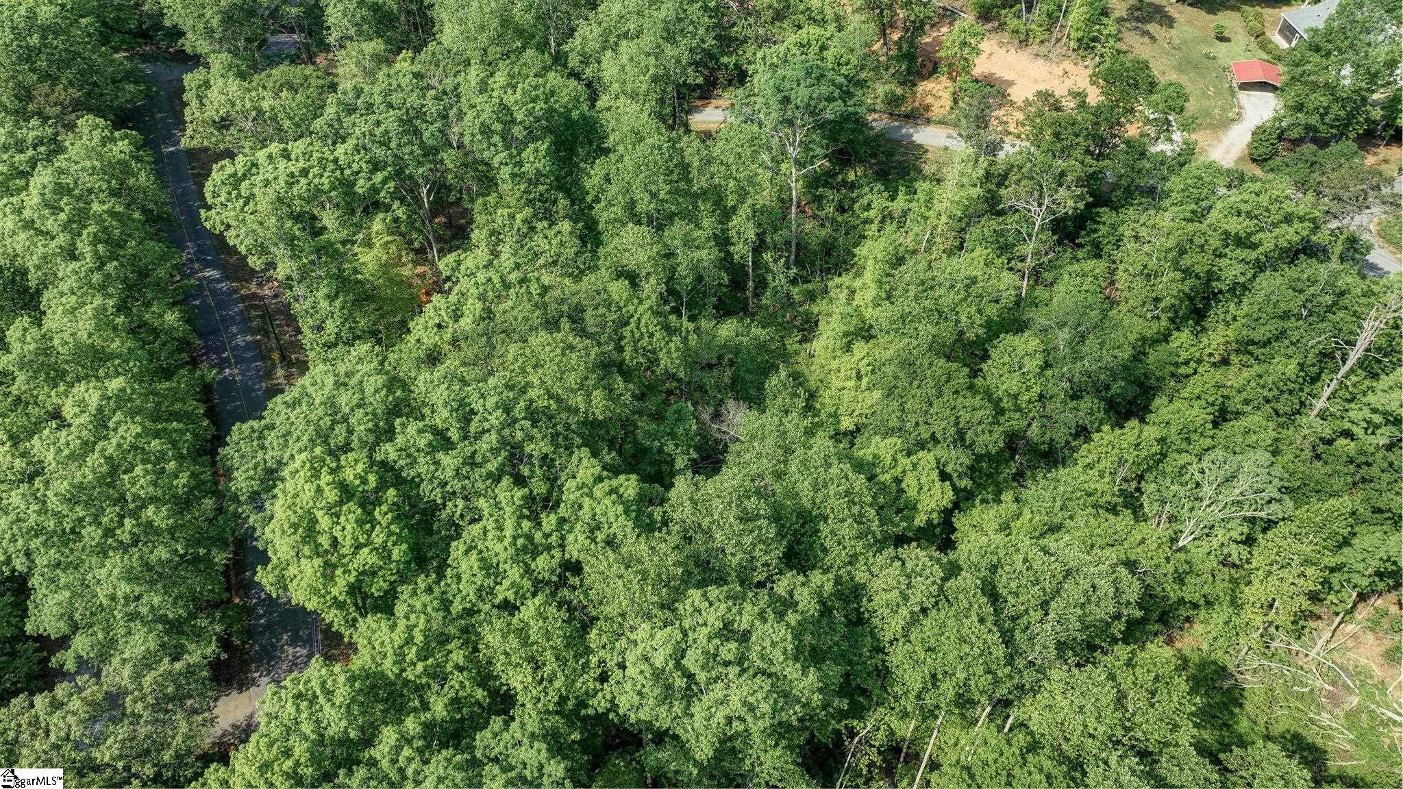 00 Ridge Point, Easley, South Carolina image 15