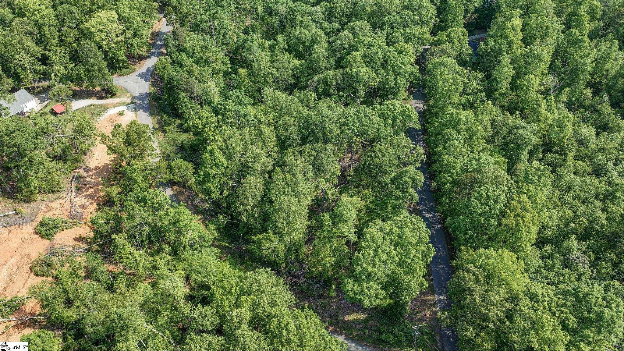 00 Ridge Point, Easley, South Carolina image 16