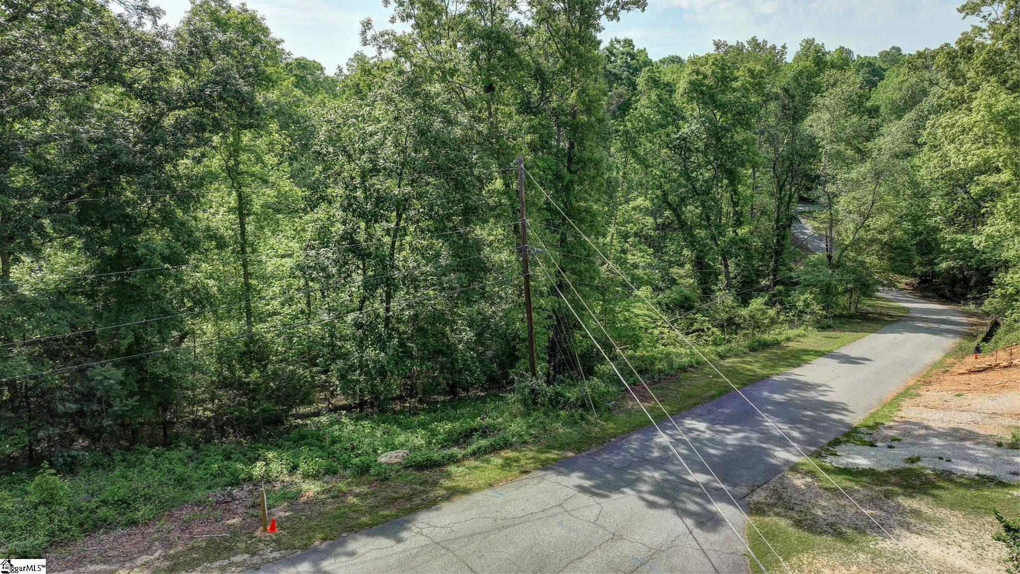 00 Ridge Point, Easley, South Carolina image 3
