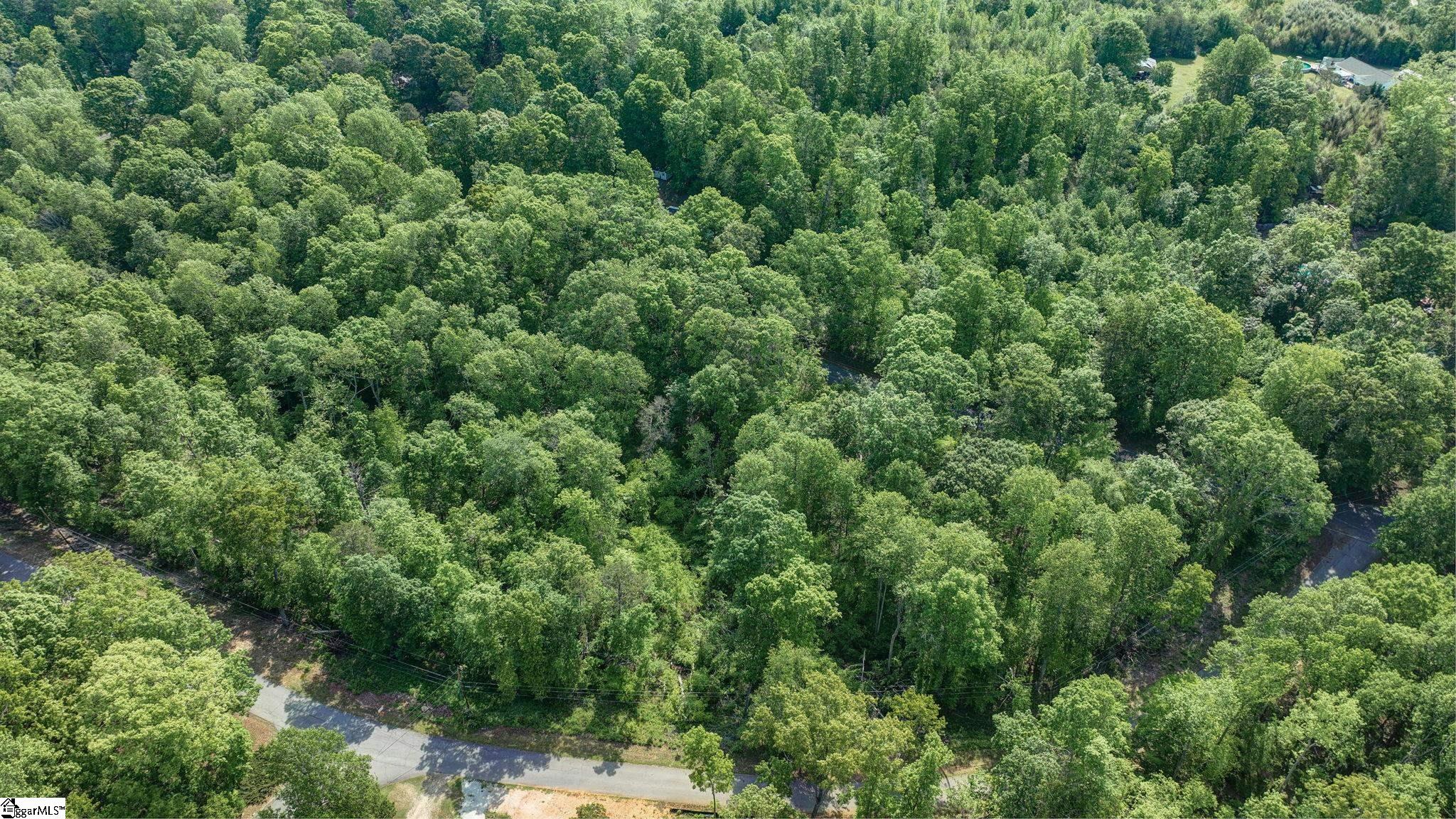 00 Ridge Point, Easley, South Carolina image 5