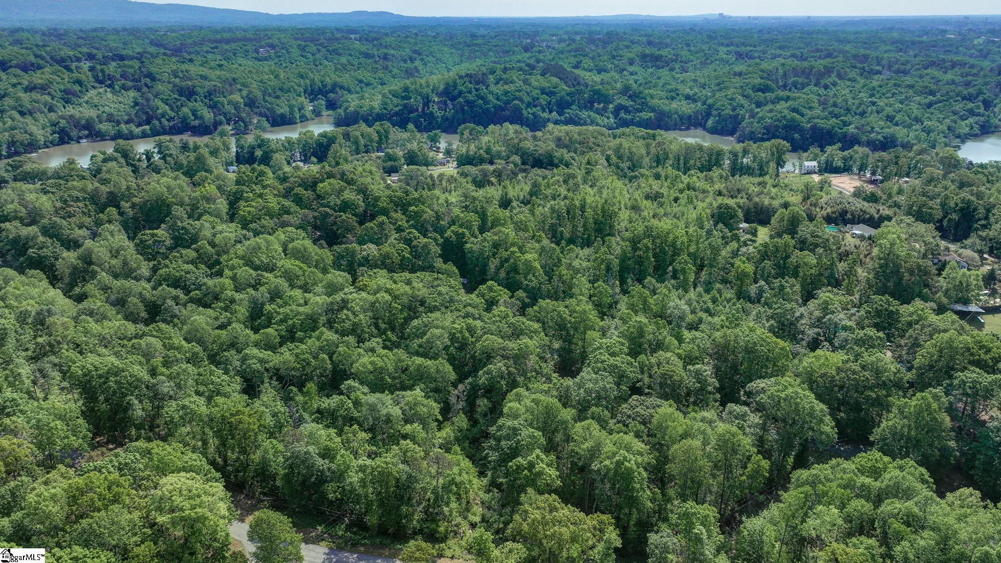 00 Ridge Point, Easley, South Carolina image 6