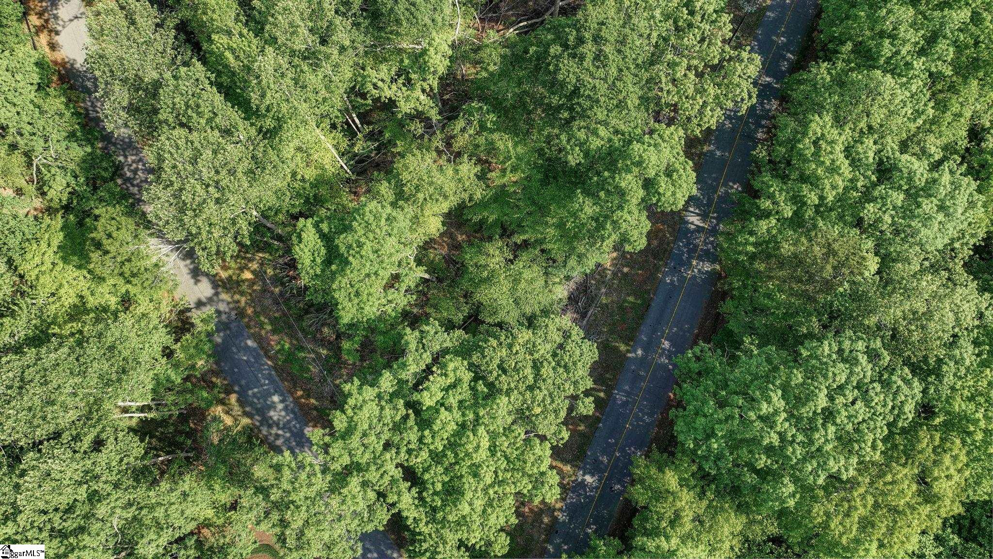 00 Ridge Point, Easley, South Carolina image 8