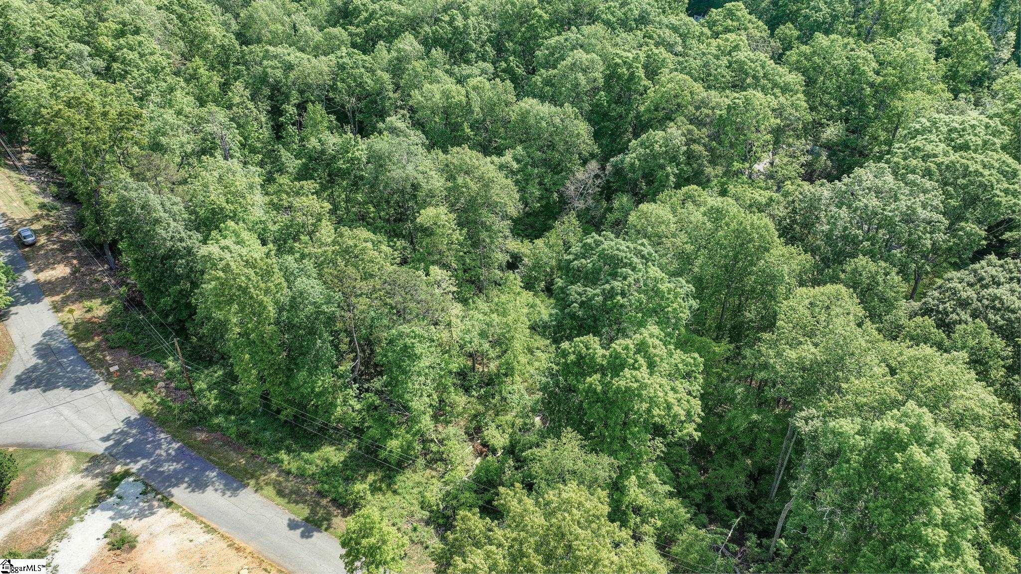 00 Ridge Point, Easley, South Carolina image 9