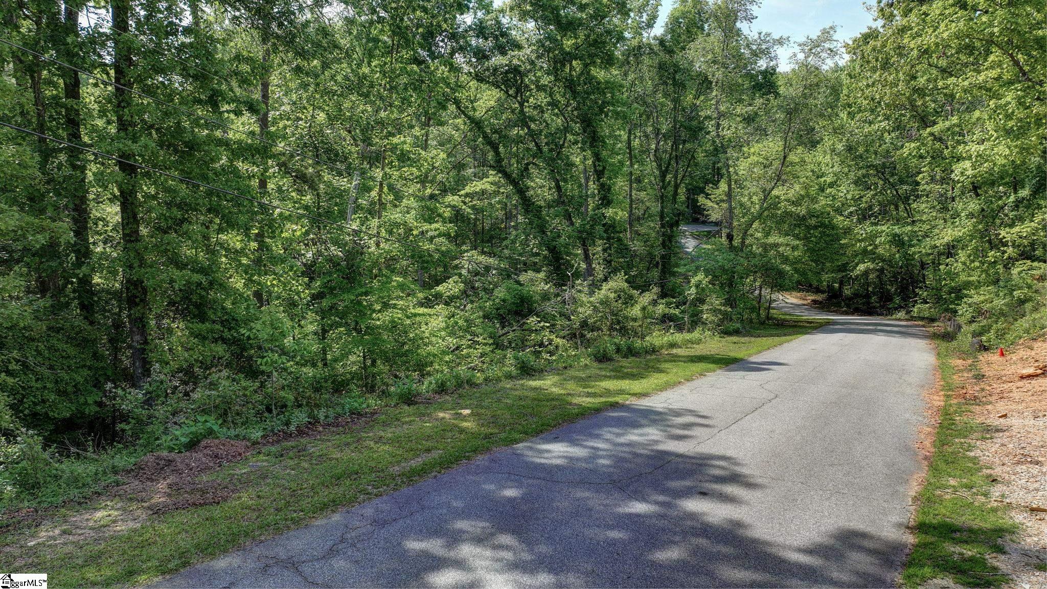 00 Ridge Point, Easley, South Carolina image 10