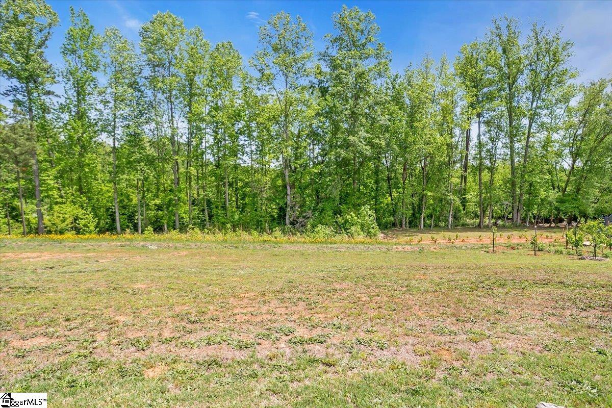 372 Long Branch, Chesnee, South Carolina image 31