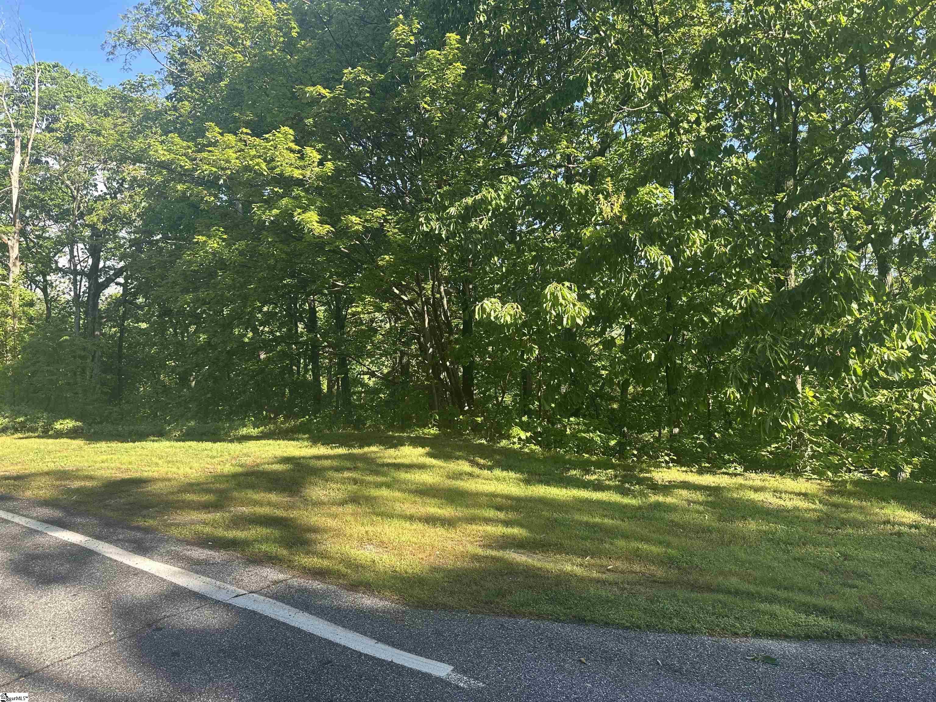 53 Harrier, Landrum, South Carolina image 1