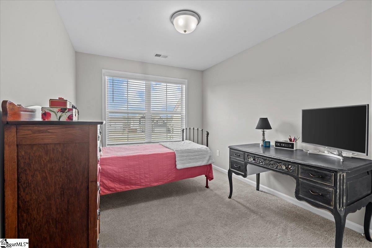 362 Stirrup, Greer, South Carolina image 19