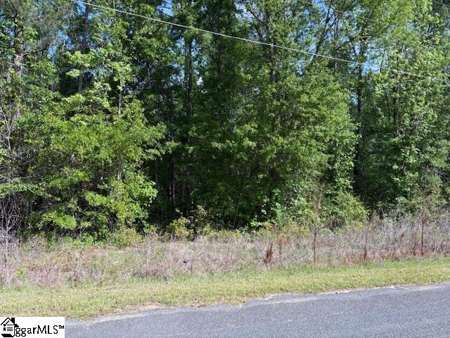 00 Rest, Waterloo, South Carolina image 2