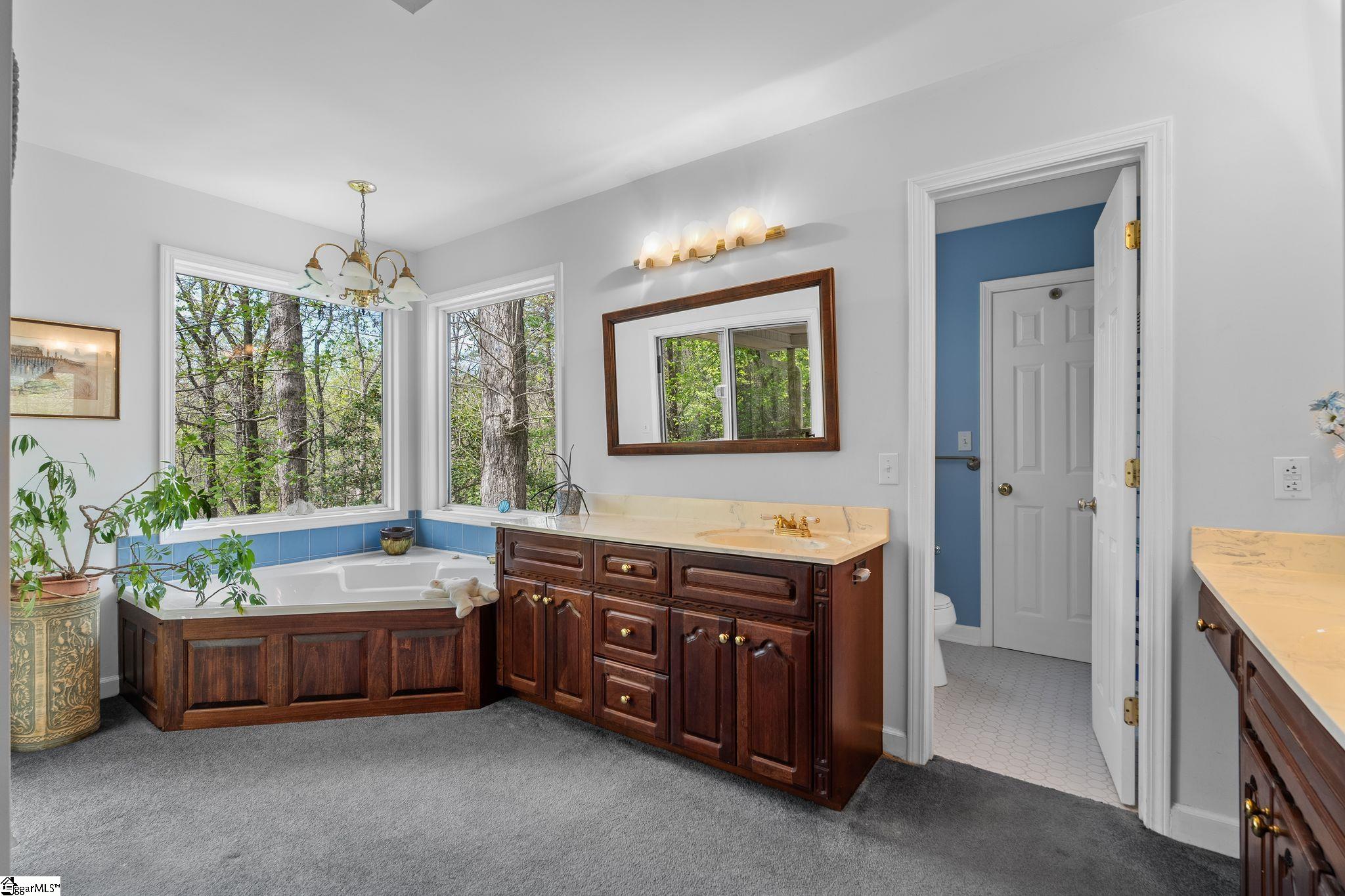 133 Hiawatha, Pickens, South Carolina image 15