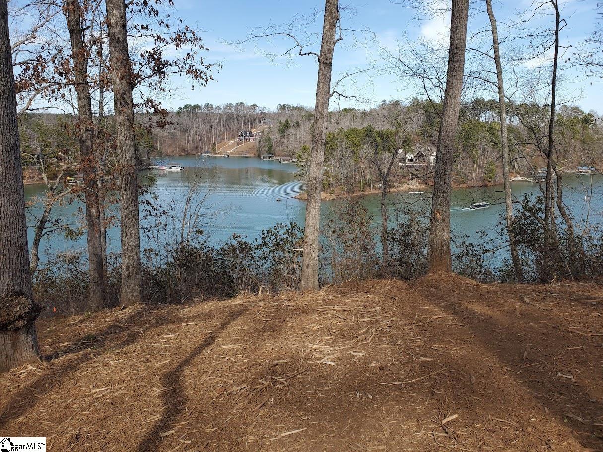 5 Little Keowee, West Union, South Carolina image 4
