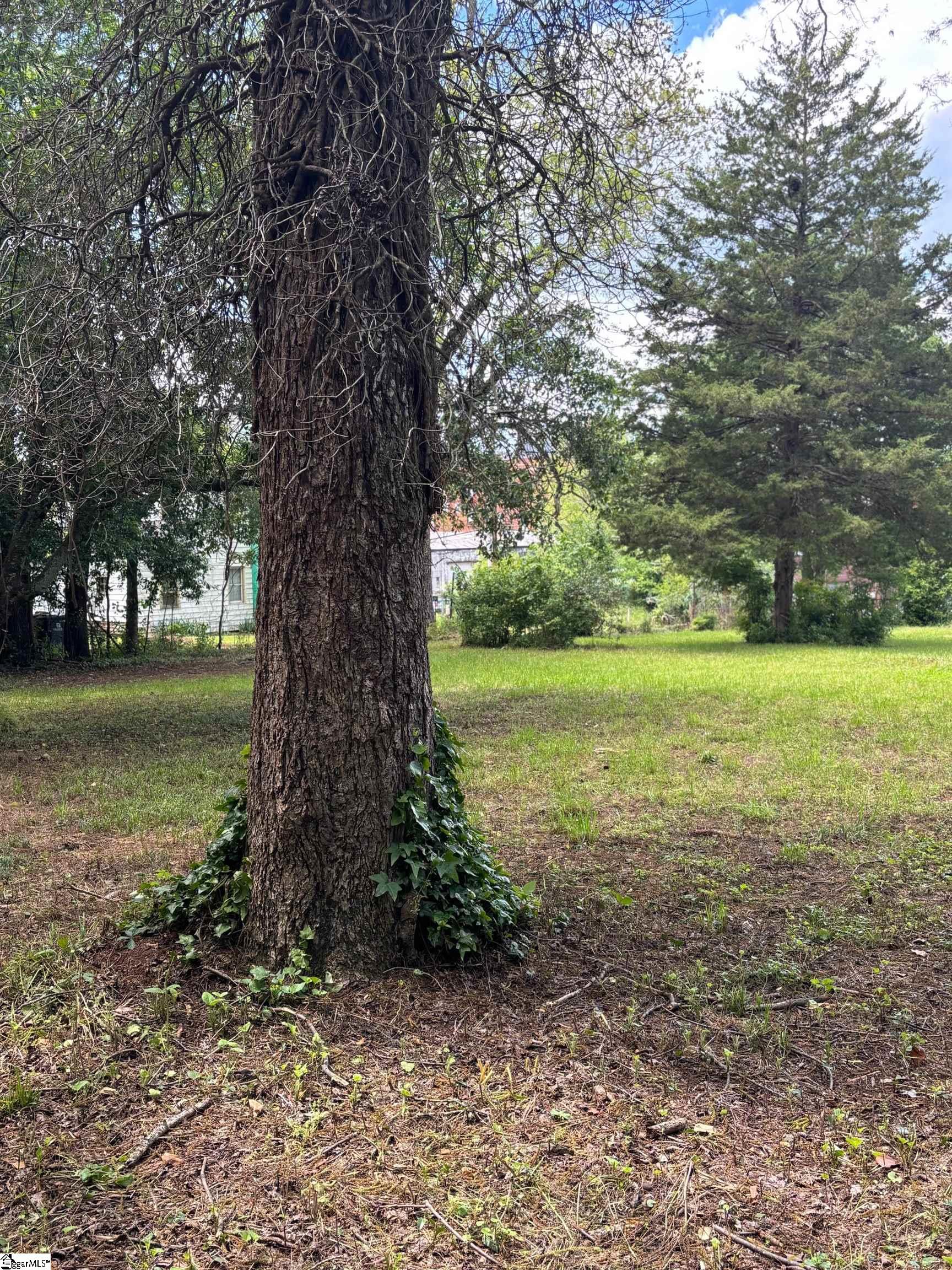104 Henry M Turner, Abbeville, South Carolina image 11