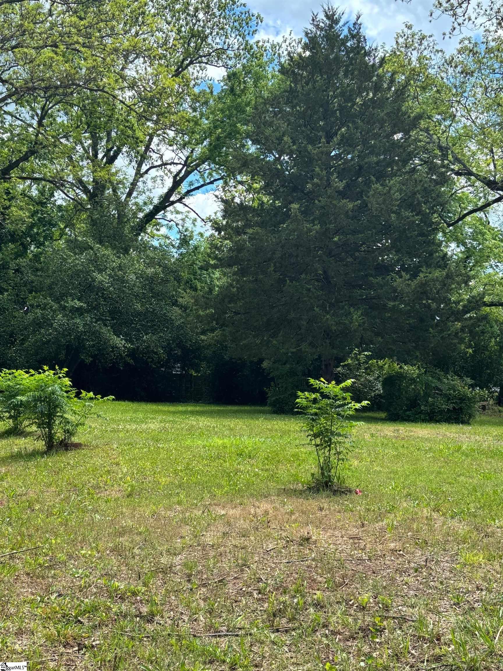 104 Henry M Turner, Abbeville, South Carolina image 3