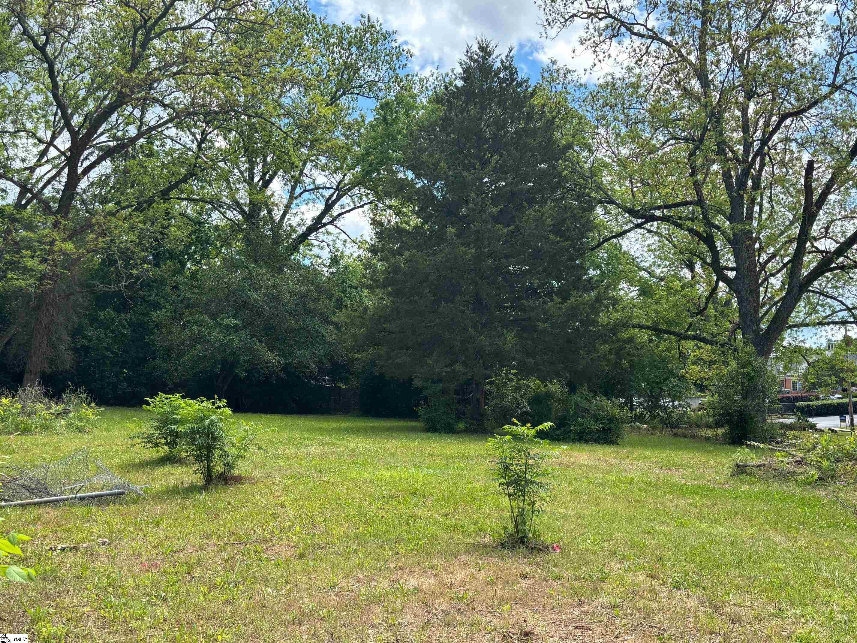 104 Henry M Turner, Abbeville, South Carolina image 5