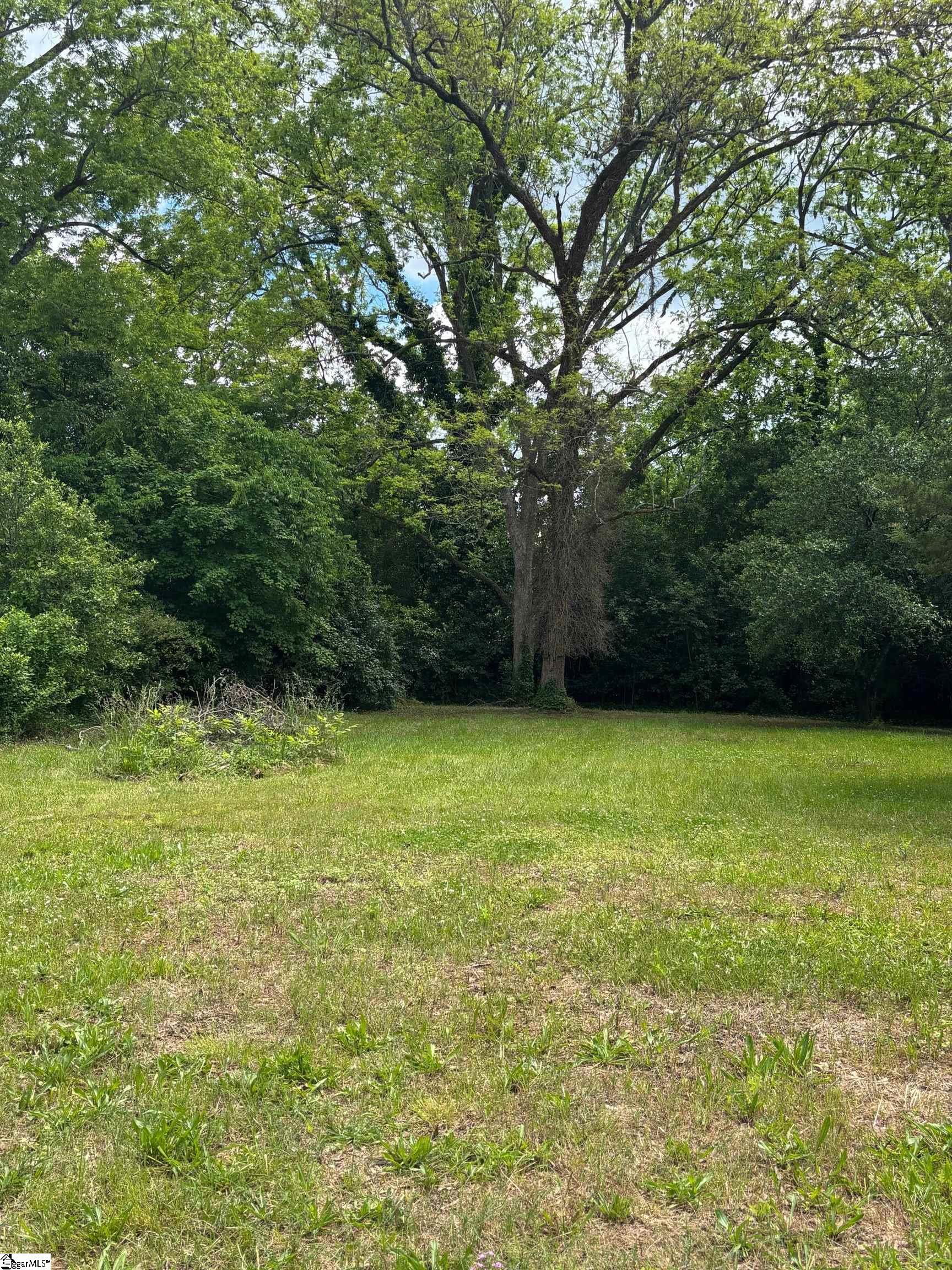 104 Henry M Turner, Abbeville, South Carolina image 6