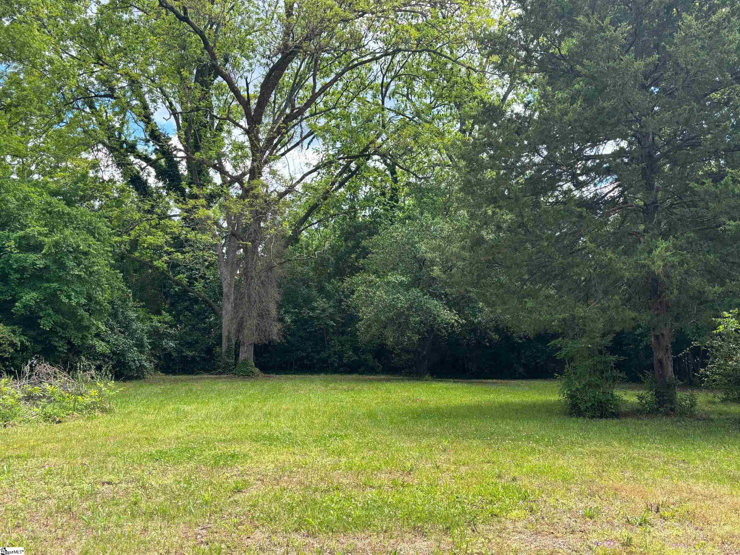 104 Henry M Turner, Abbeville, South Carolina image 7