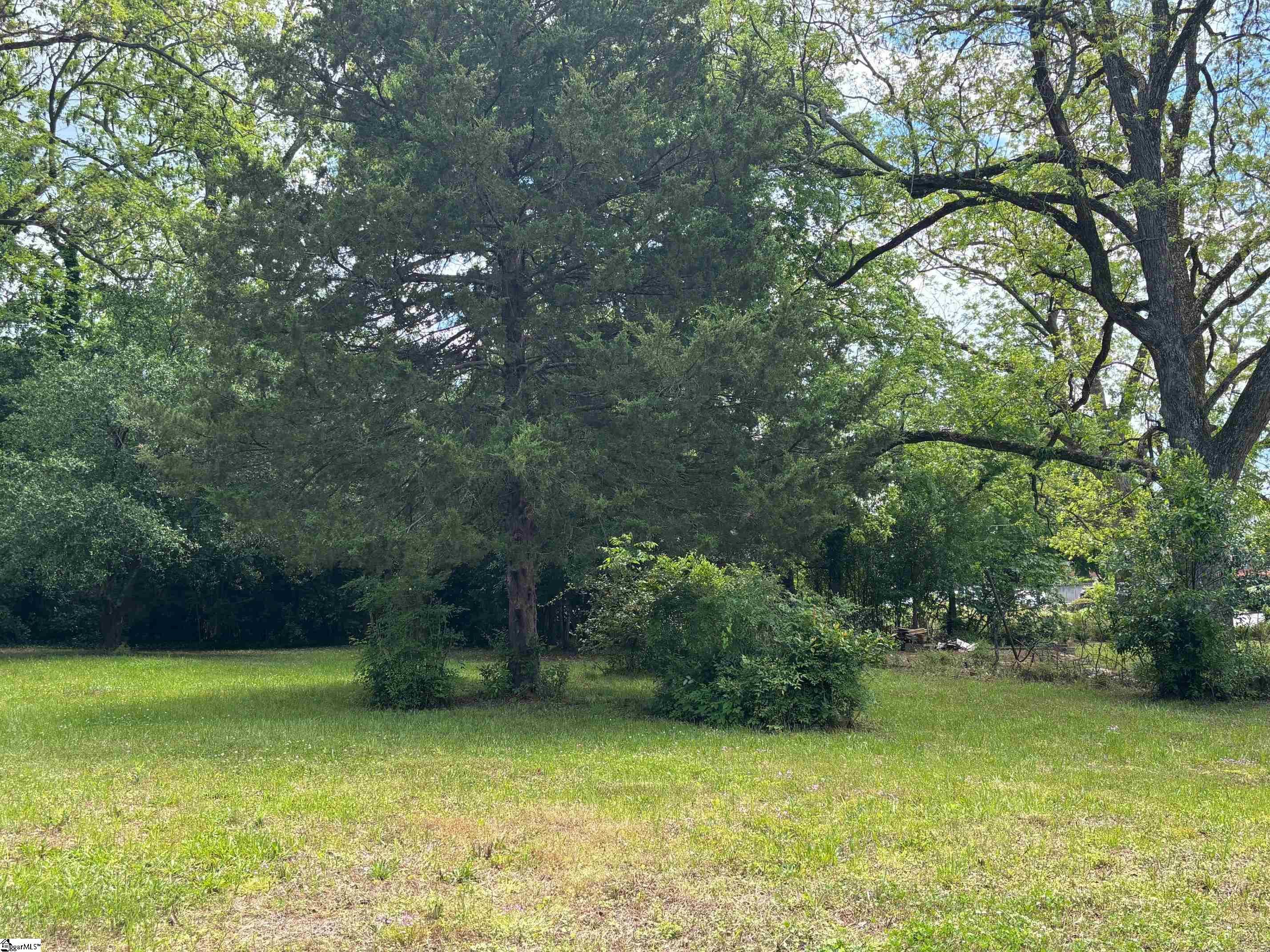 104 Henry M Turner, Abbeville, South Carolina image 8