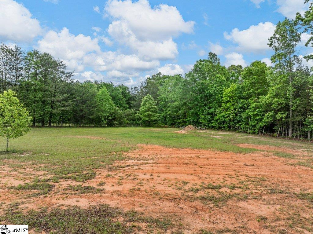 530 Hulon Howard, Landrum, South Carolina image 40