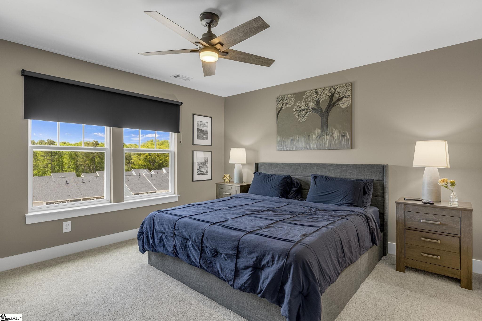 173 Dalmatian, Spartanburg, South Carolina image 18