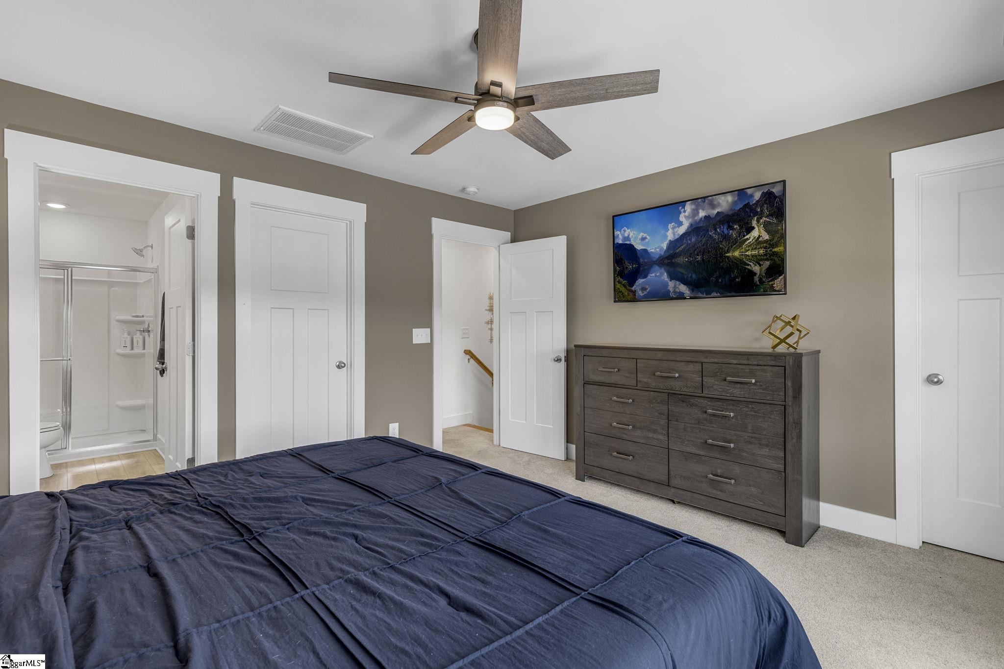 173 Dalmatian, Spartanburg, South Carolina image 19