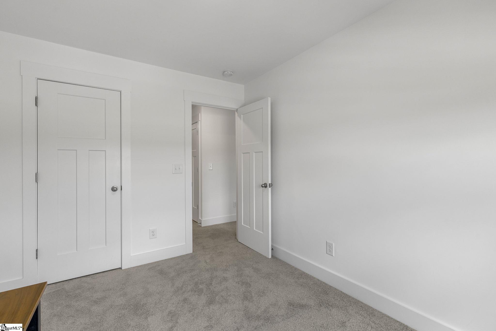 173 Dalmatian, Spartanburg, South Carolina image 22