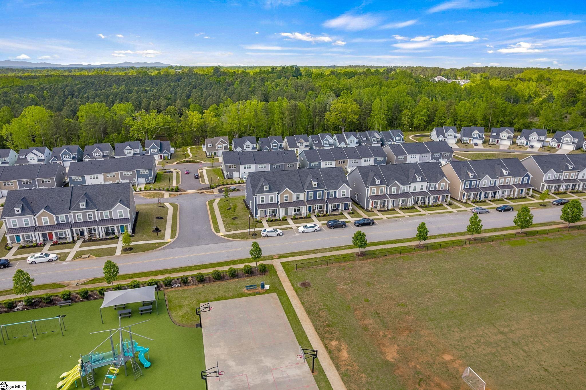 173 Dalmatian, Spartanburg, South Carolina image 31