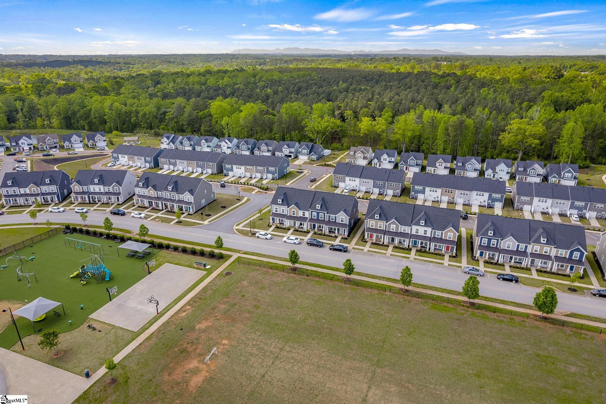 173 Dalmatian, Spartanburg, South Carolina image 33