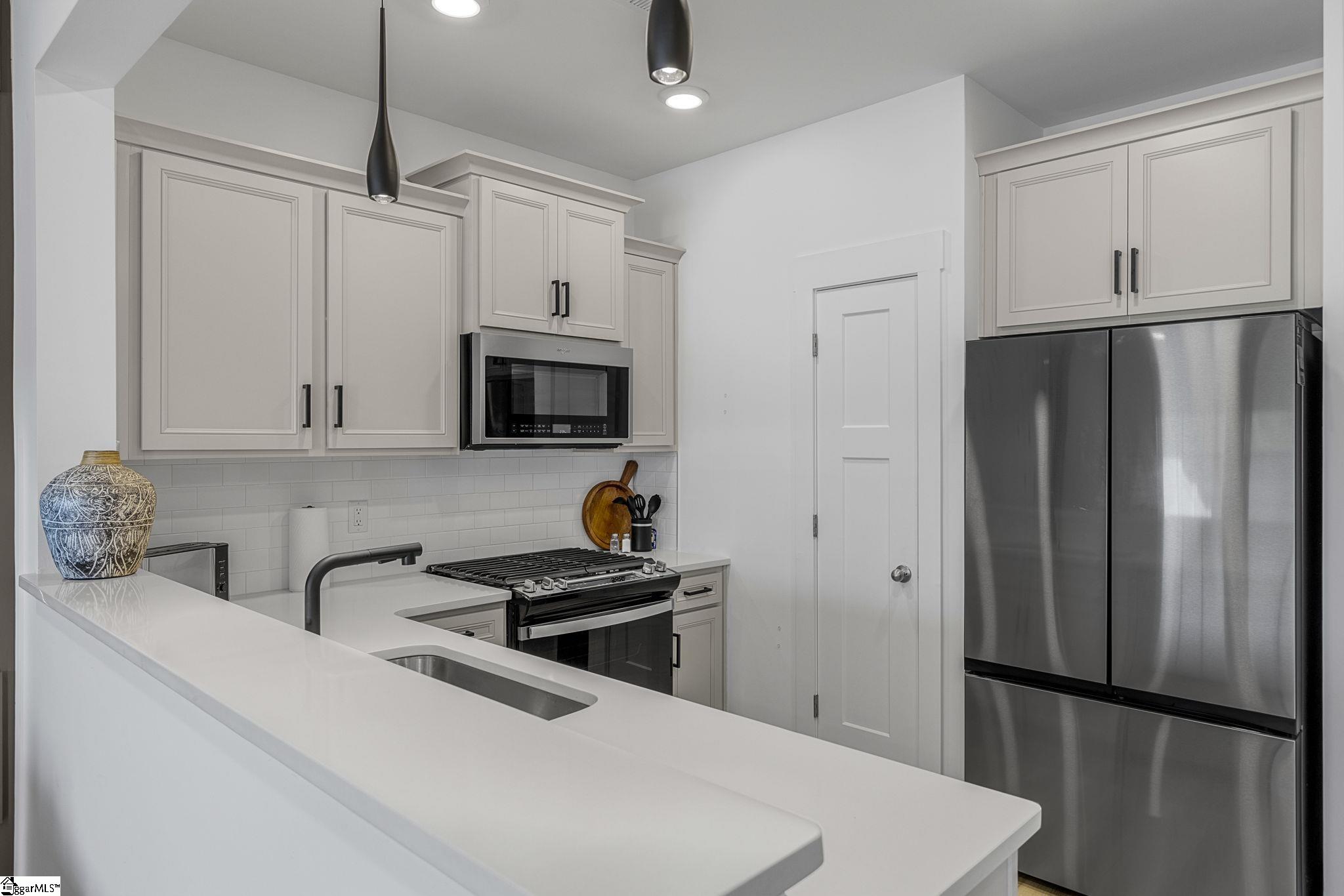 173 Dalmatian, Spartanburg, South Carolina image 9