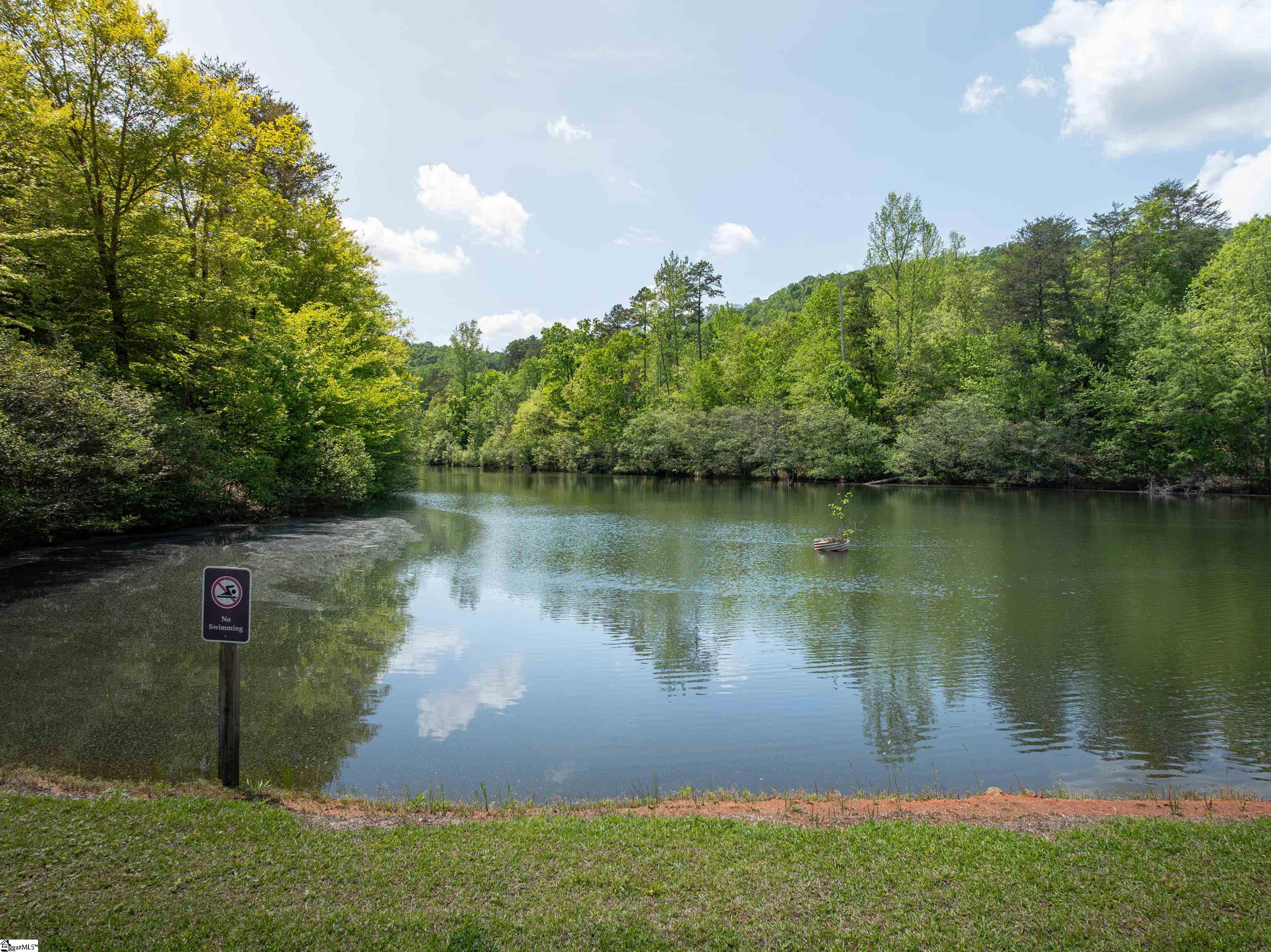 149 April Valley, Pickens, South Carolina image 24