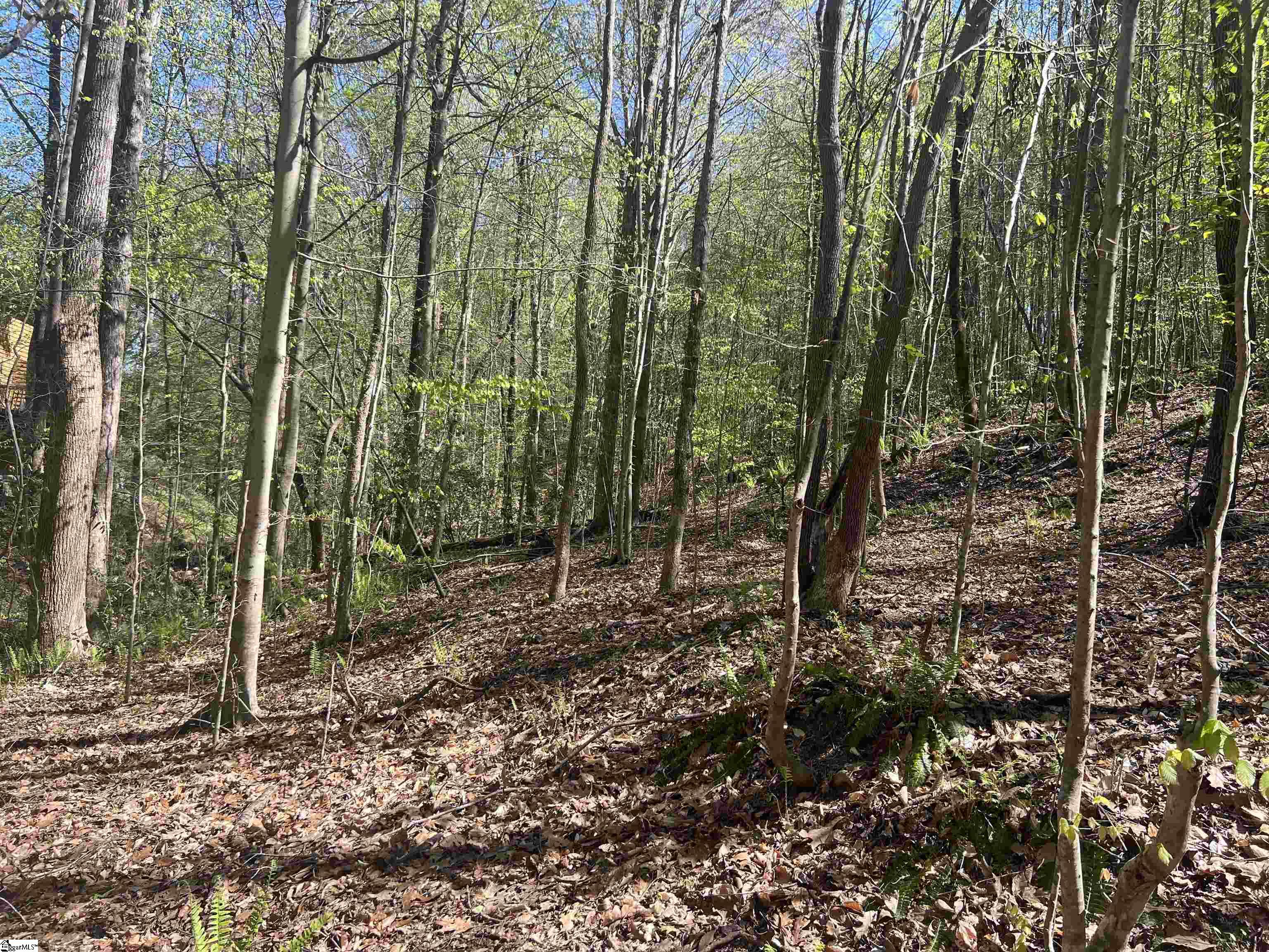 MLS #1556519 image #15