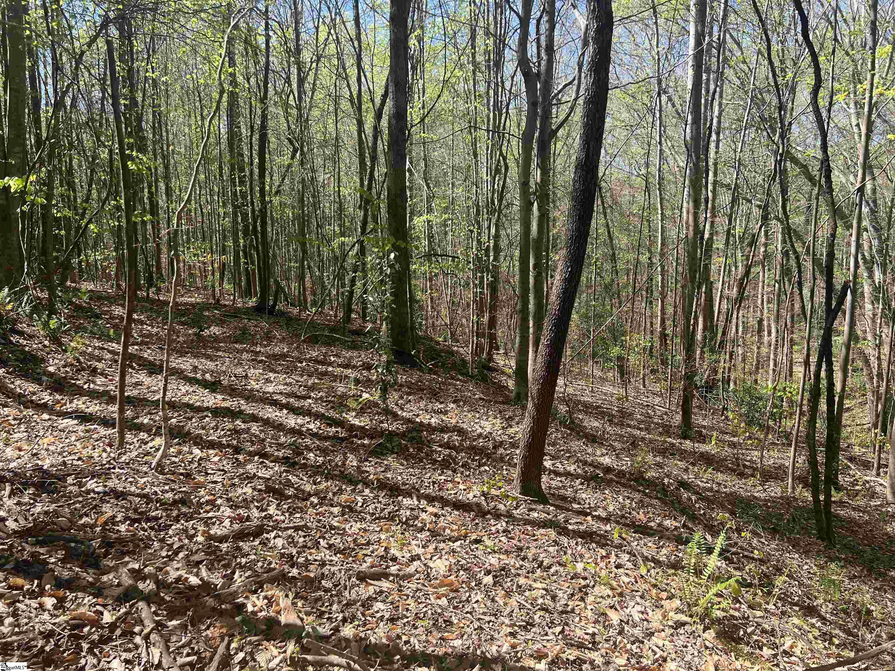 MLS #1556519 image #16