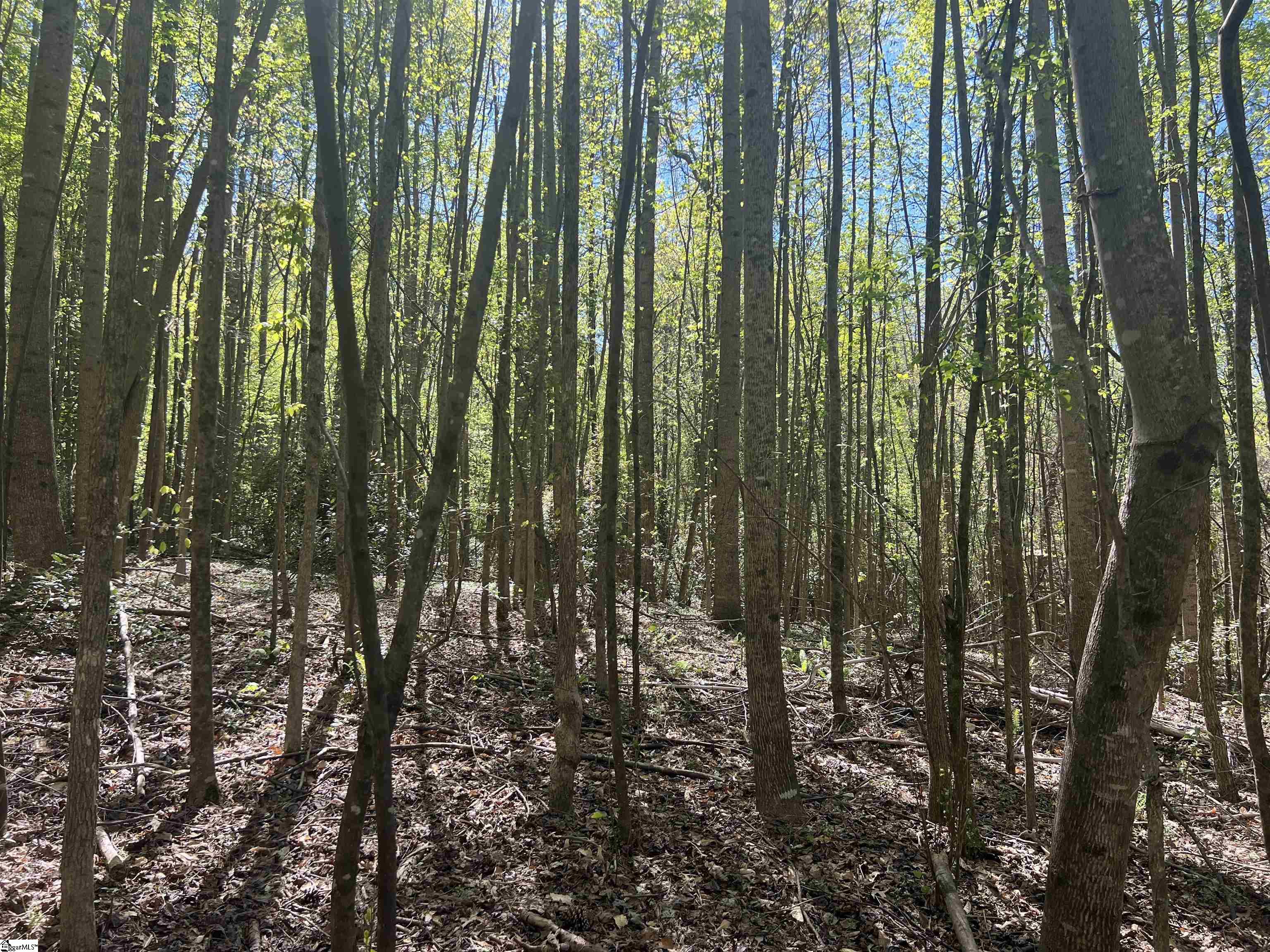 MLS #1556519 image #18