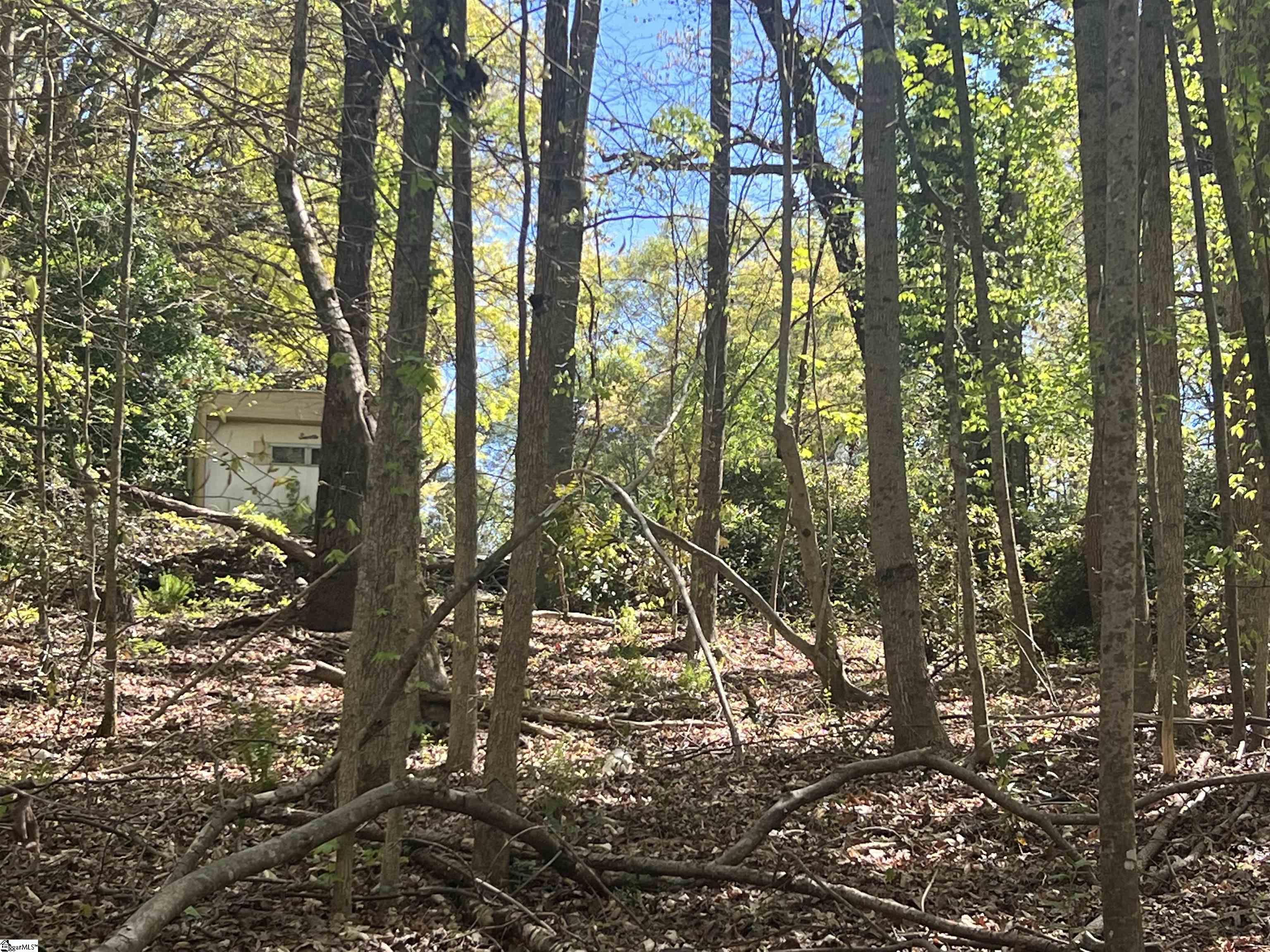 MLS #1556519 image #19